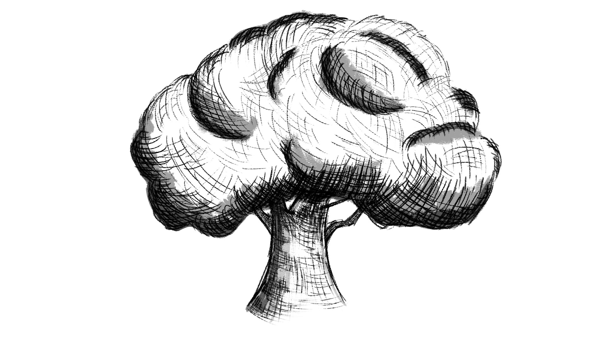 Tree Sketch - Digital