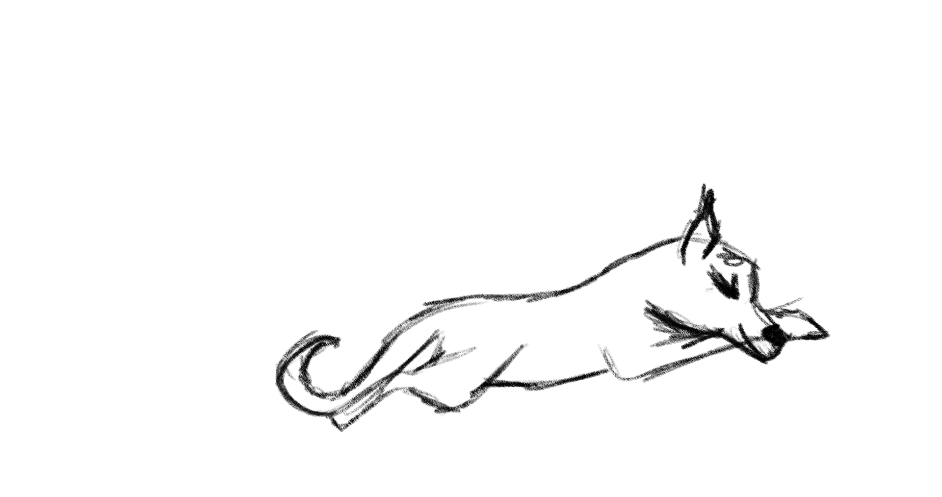 Sleeping Dog Sketch - Digital