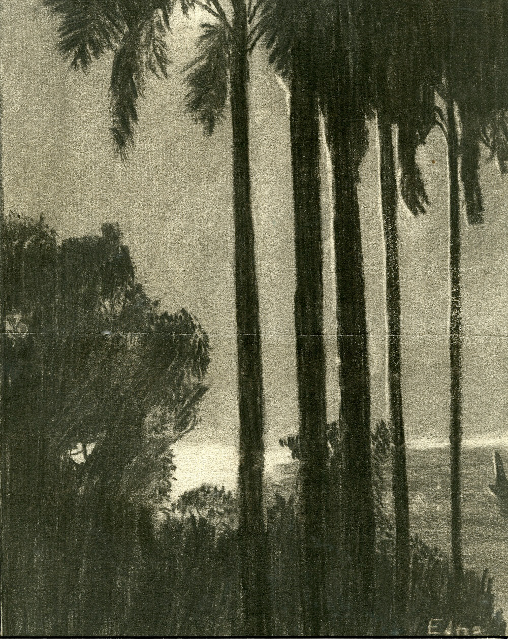 Edna Koop Wiebe, "Seascape with Palm Trees," 1925, Charcoal