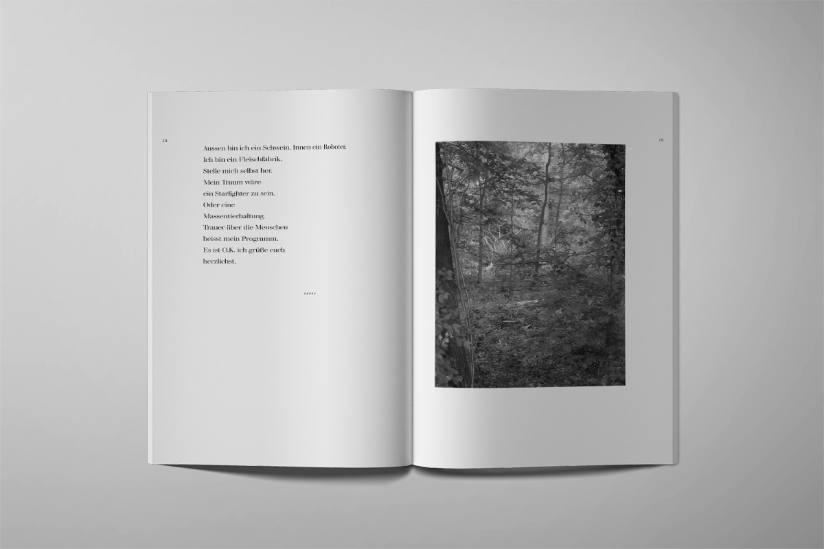 Beispiel grafische Buchgestaltung
