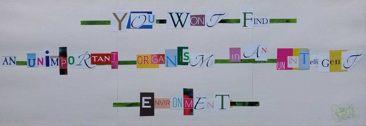 You Wont Find - 600cm x 210cm