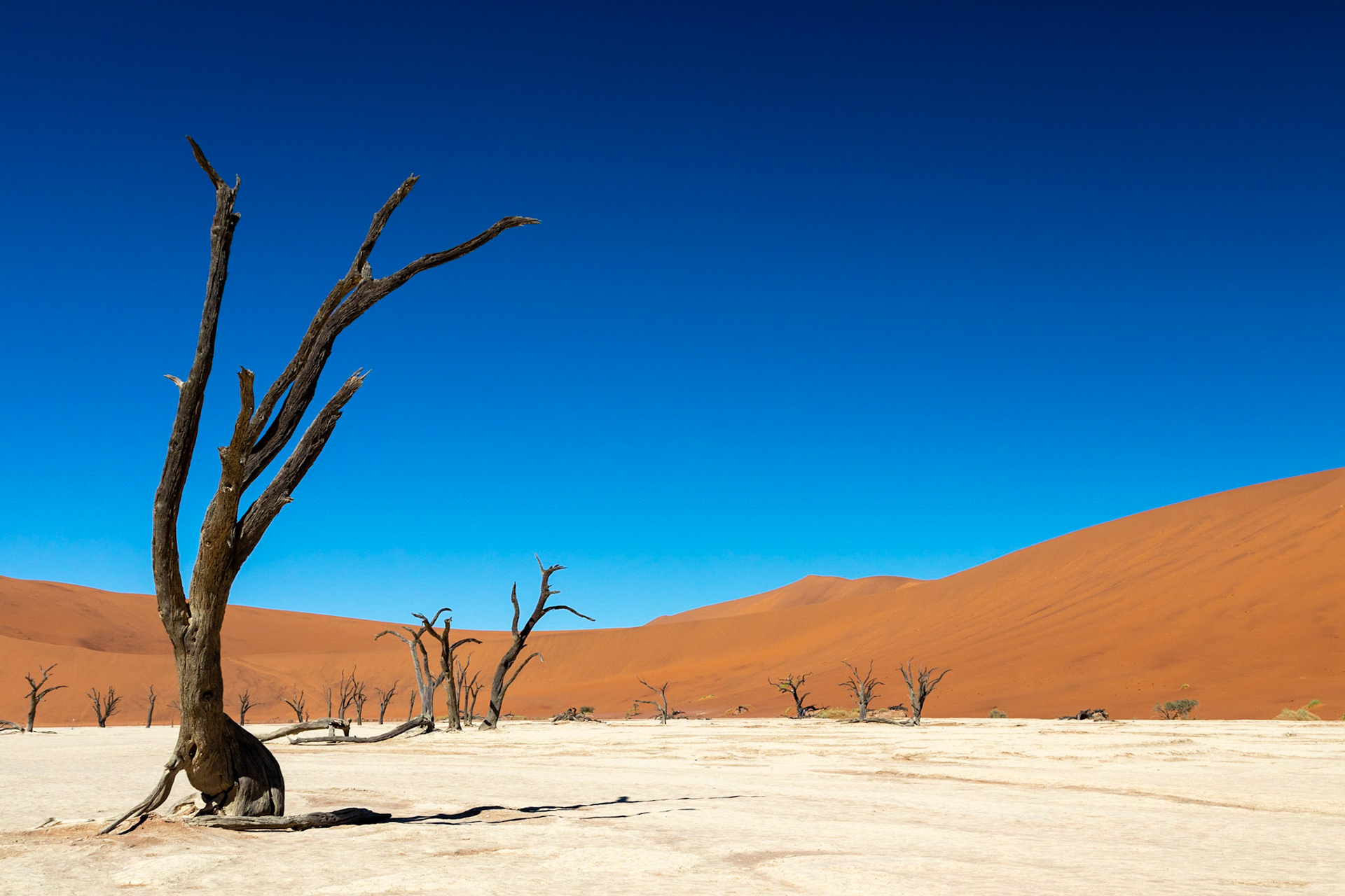 "Salt in a sea of sand"