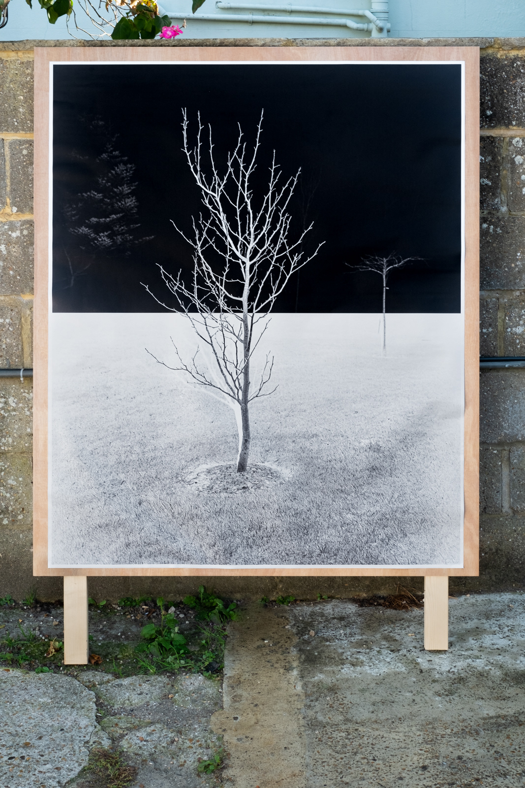 Northern Ireland, Assembly, Stormont, politics, landscape, political landscape, outdoor exhibition, billboard