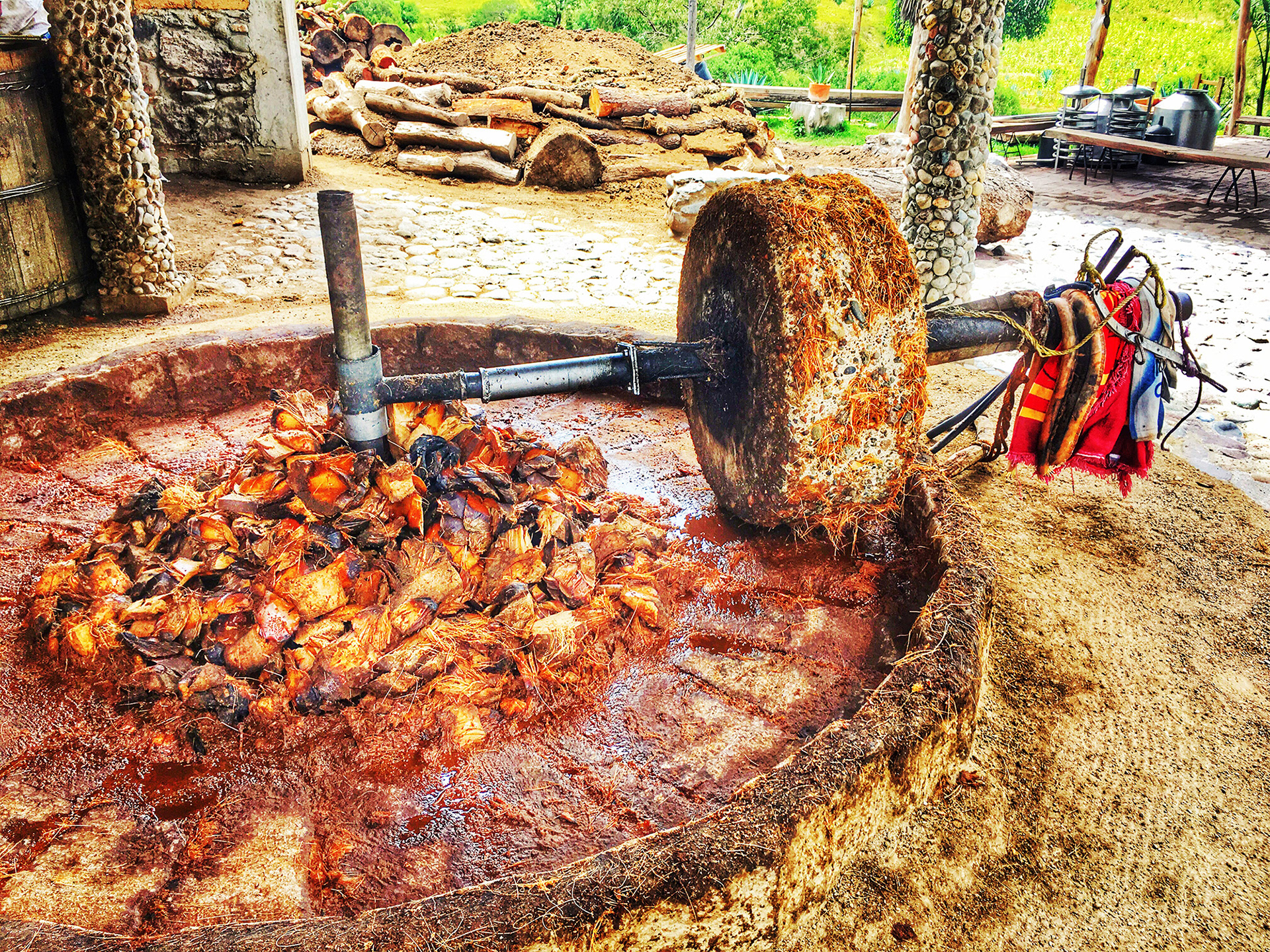 Mezcal Production in Oaxaca