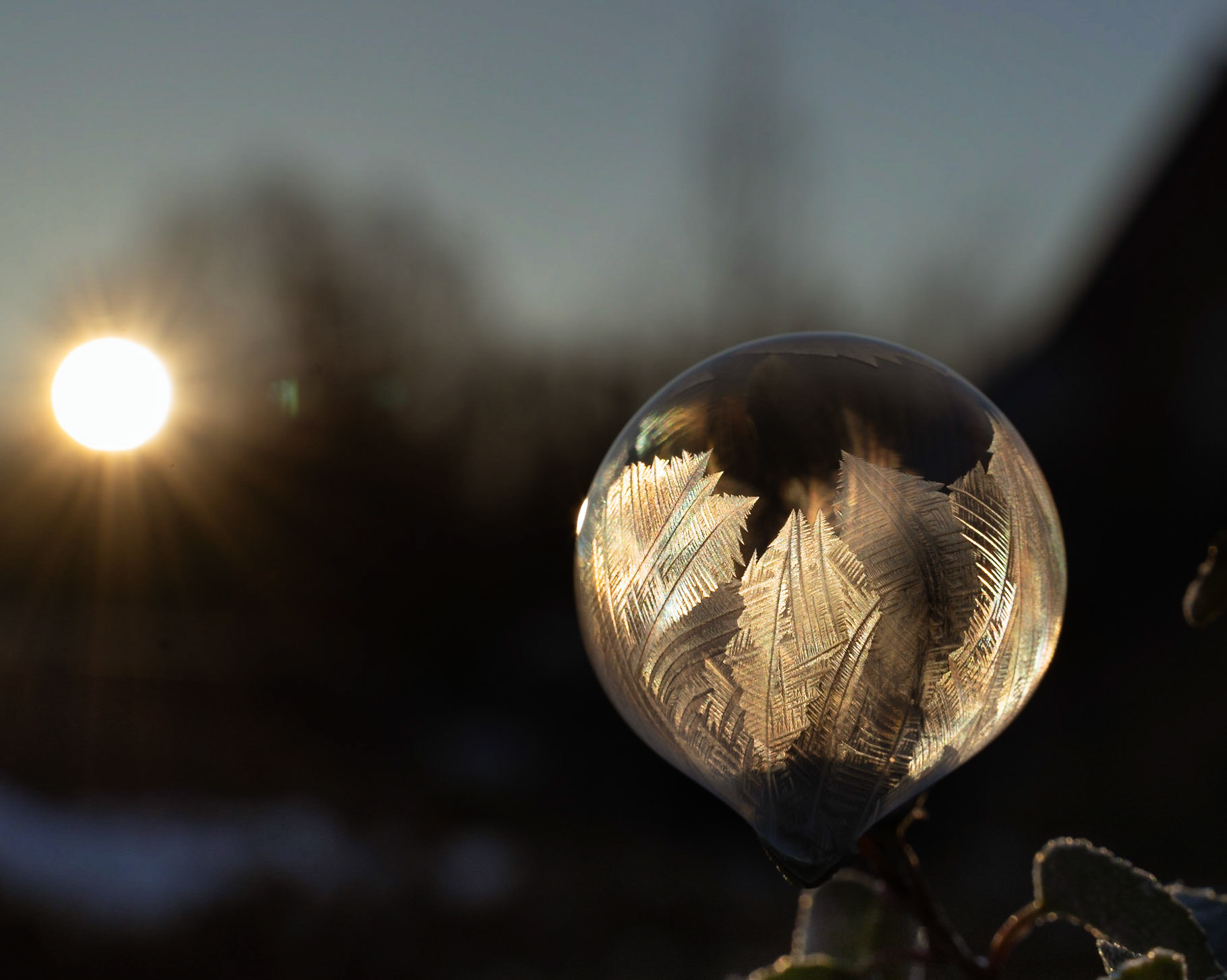 Frozen Soap Bubble With Ice Flowers