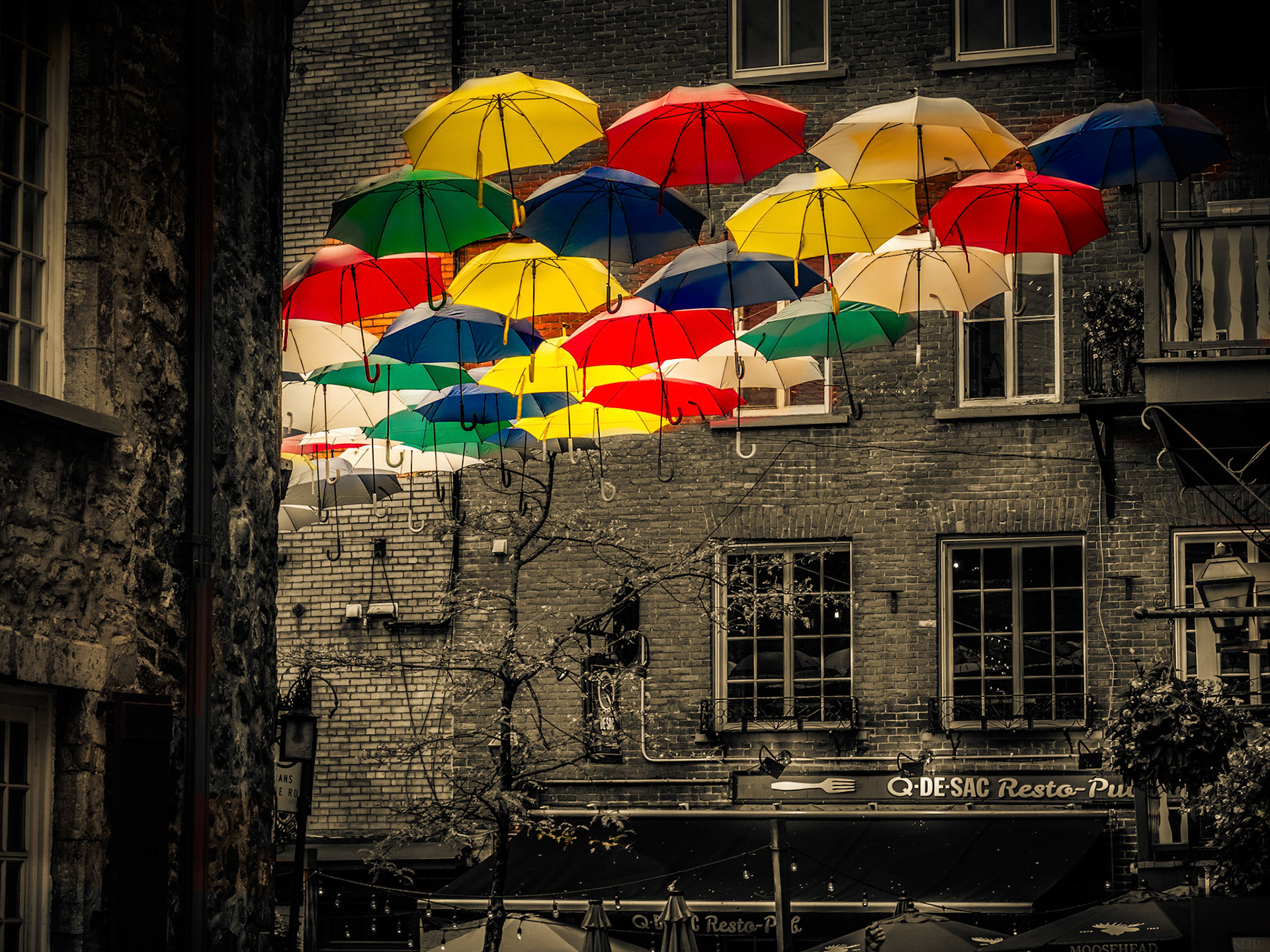 Bari Love - Rain Rain Please Stay --- 2019, Archival Pigment Print, , 10 x 13 Print/Paper, $100, 14 x 18 Framed, $150