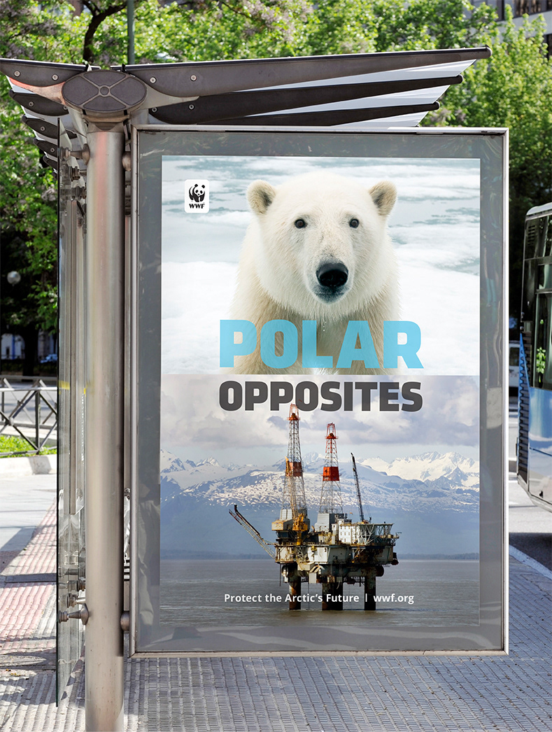 Evan Levent - World Wildlife Fund Evan Levent - World Wildlife Fund