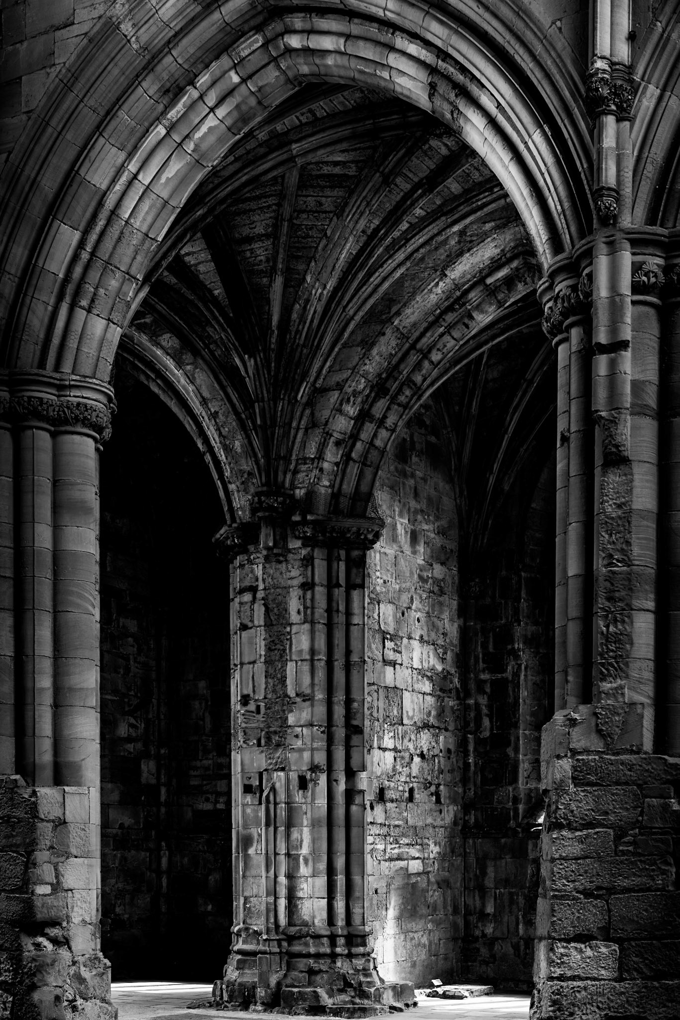 Melrose Abbey, 2019