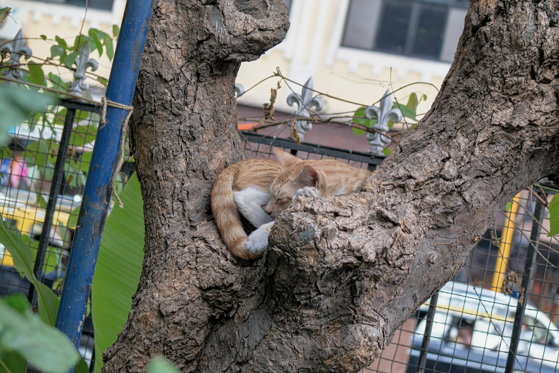 Mumbai, India
