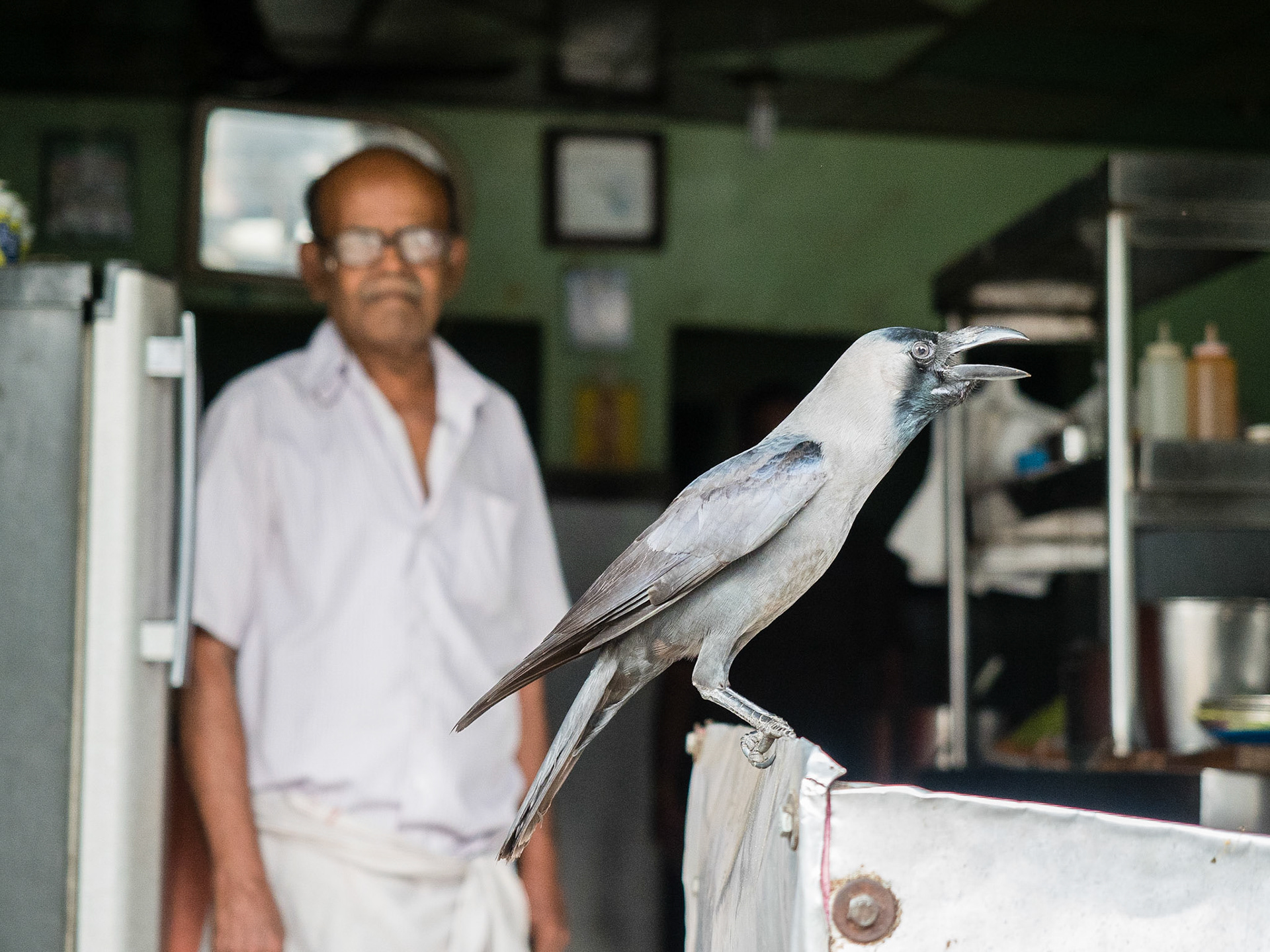 Chennai, India