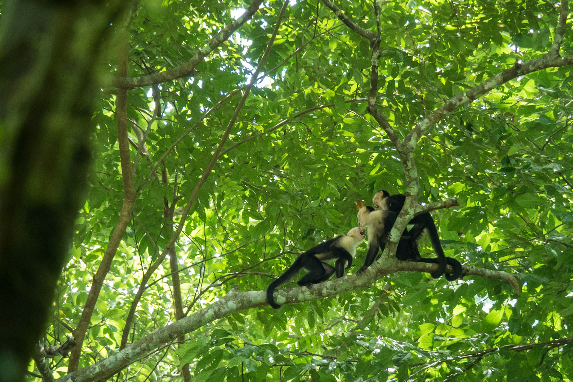 Costa Rica