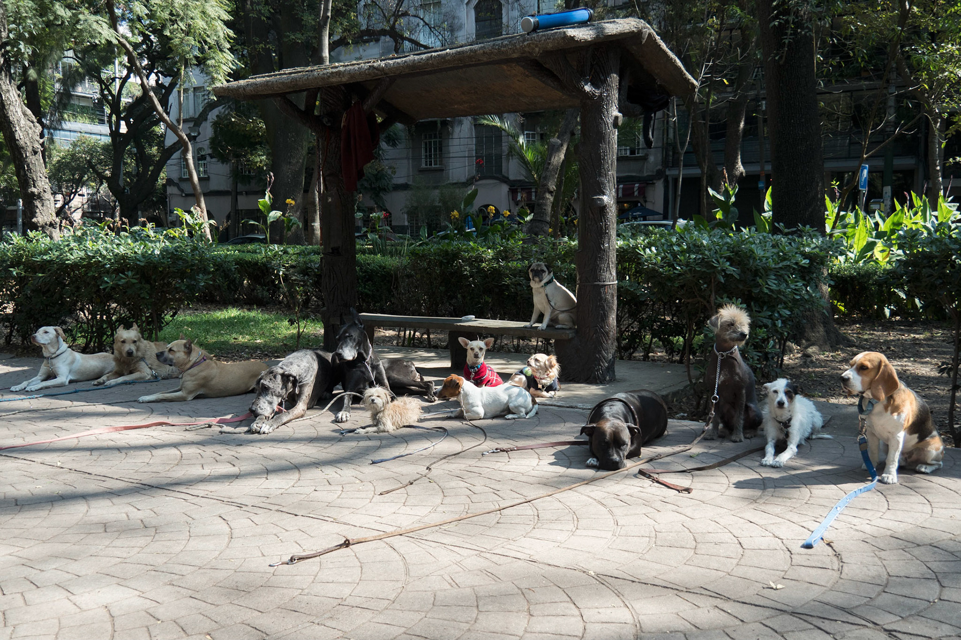 Mexico City, Mexico