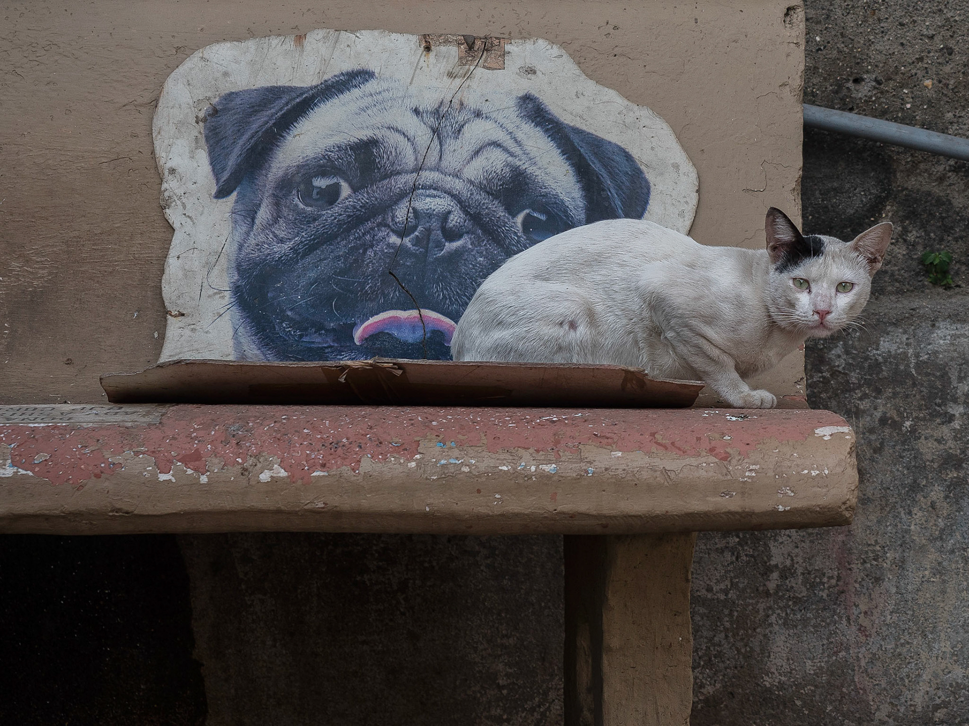 Mumbai, India
