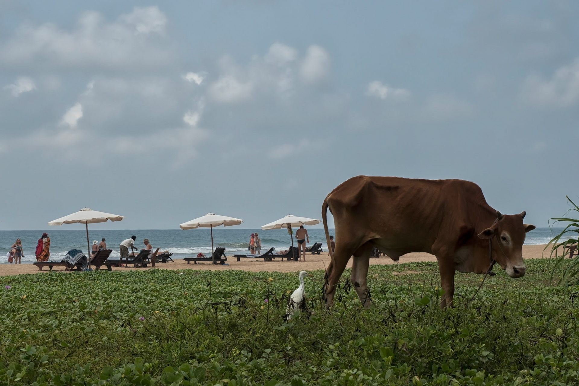 Bentota, Sri Lanka