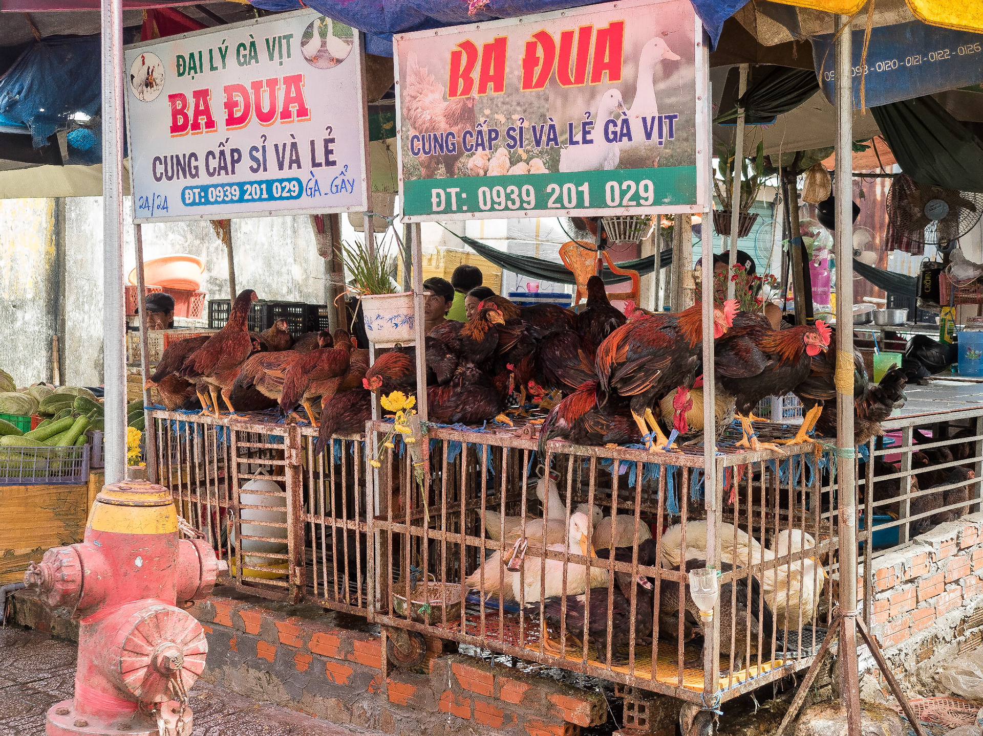 Phu Quoc, Vietnam