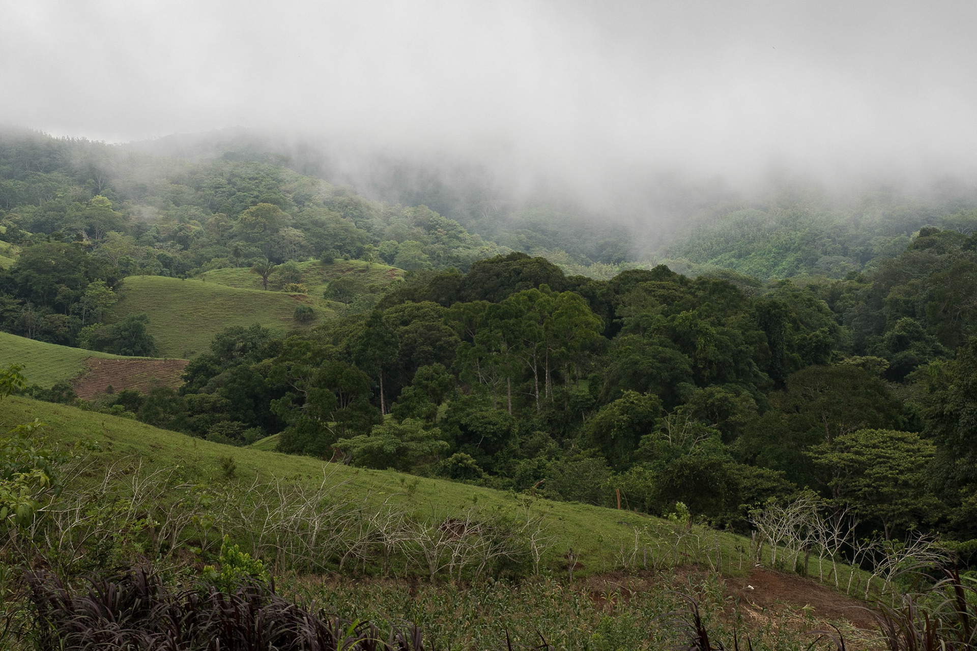 Costa Rica