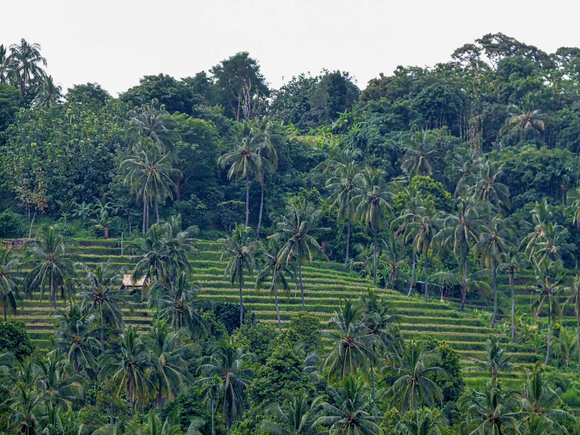Bali, Indonesia