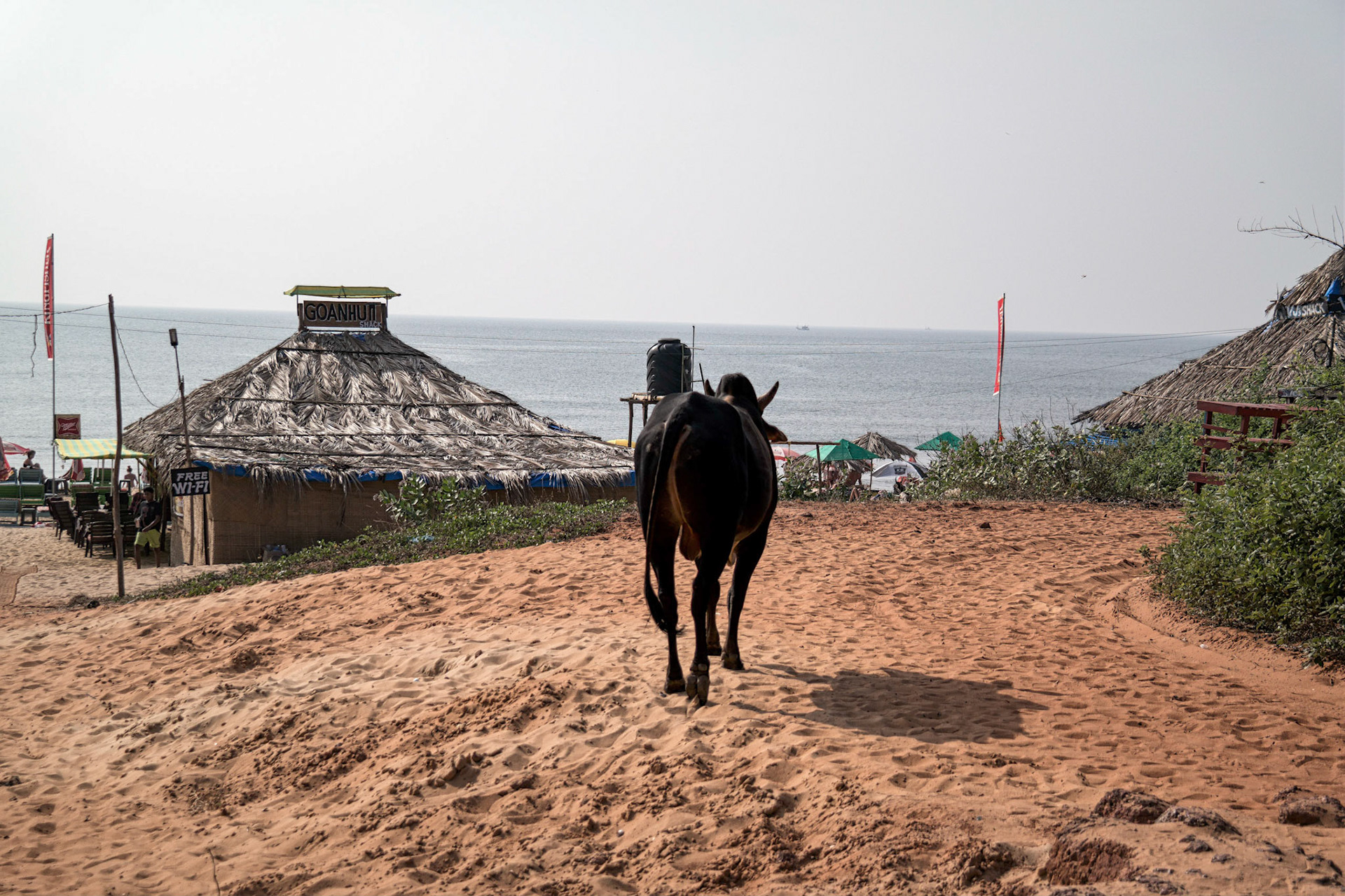 Goa, India