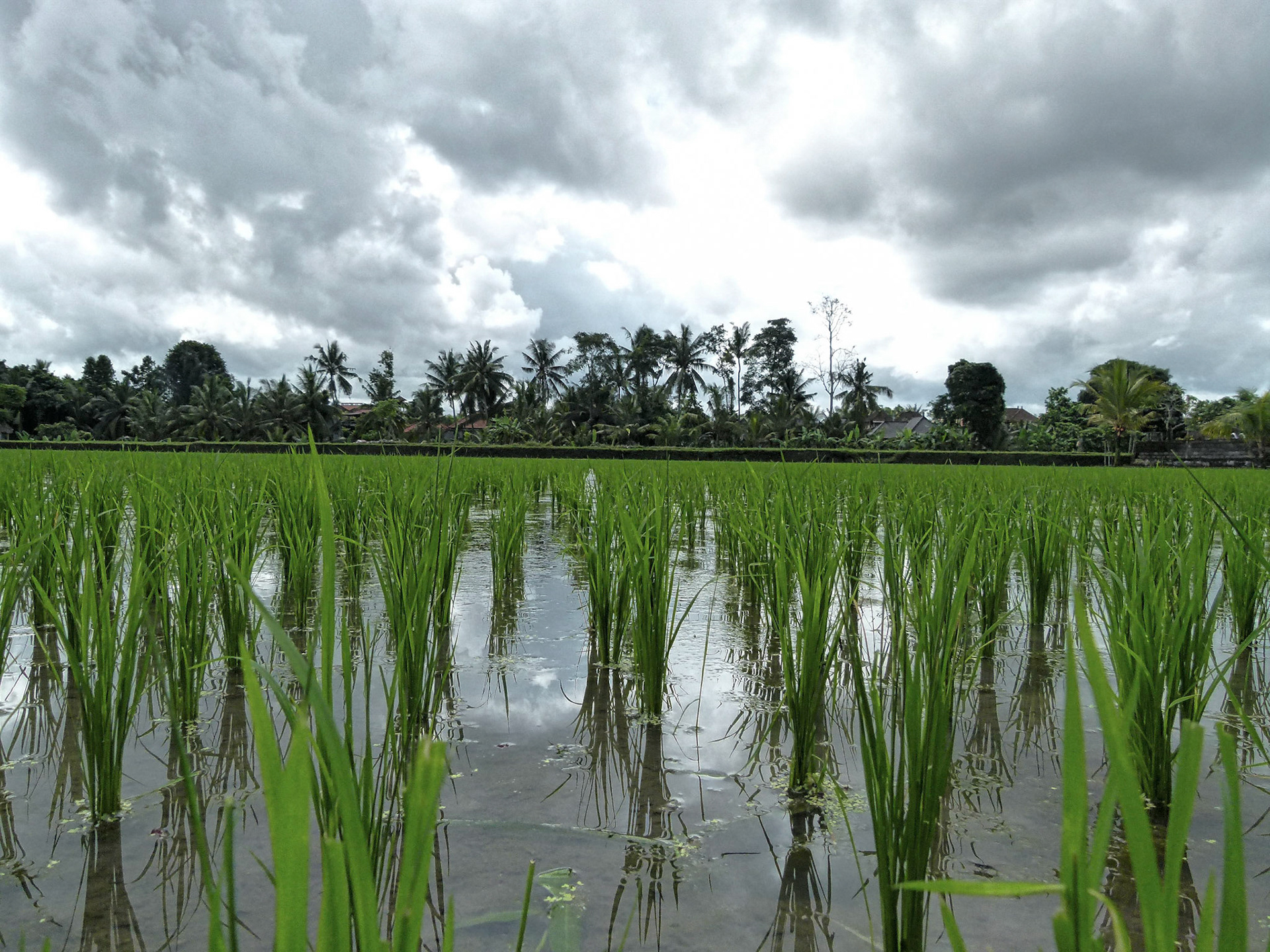 Bali, Indonesia