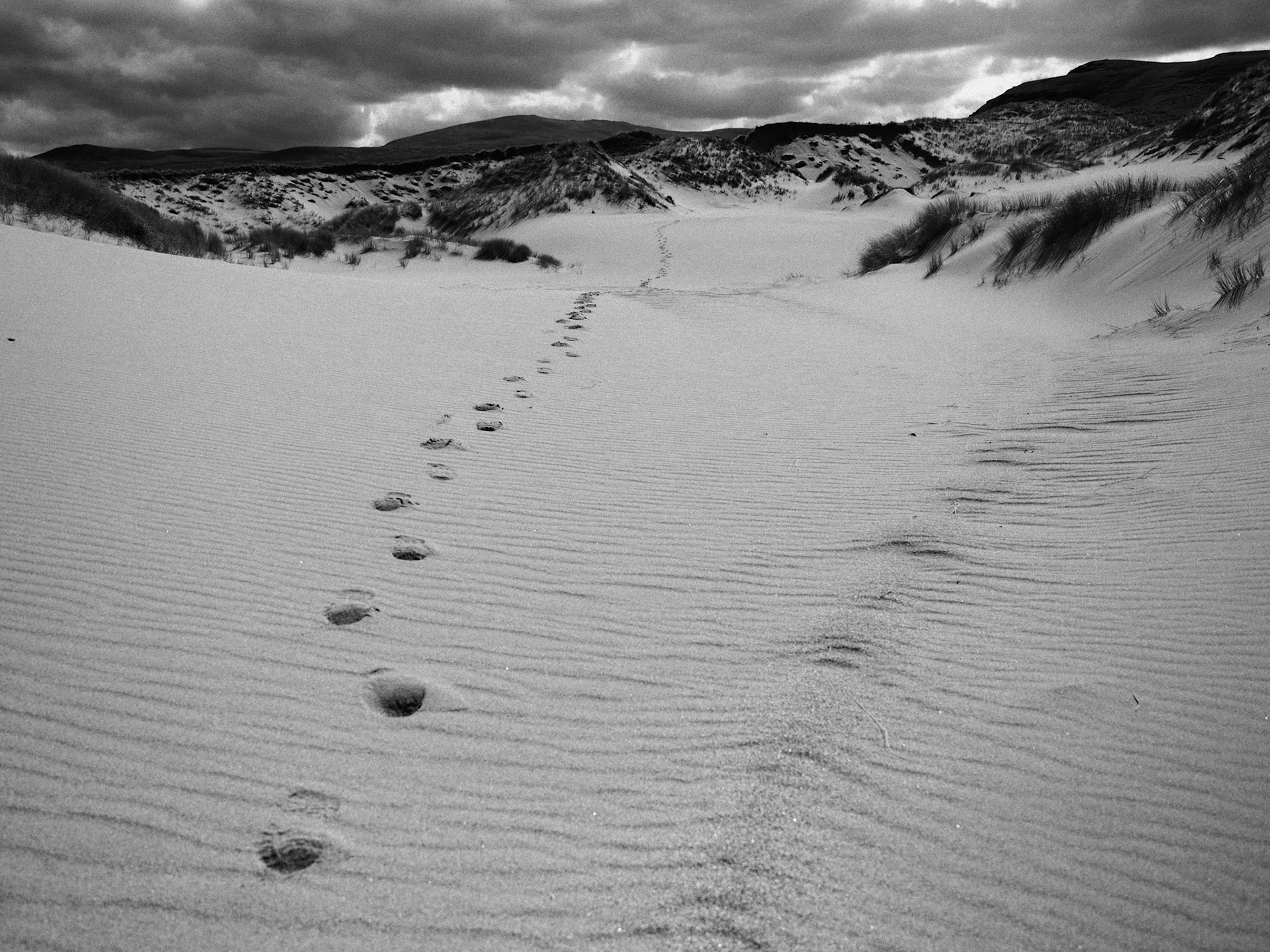 Sandwood Bay - Footsteps