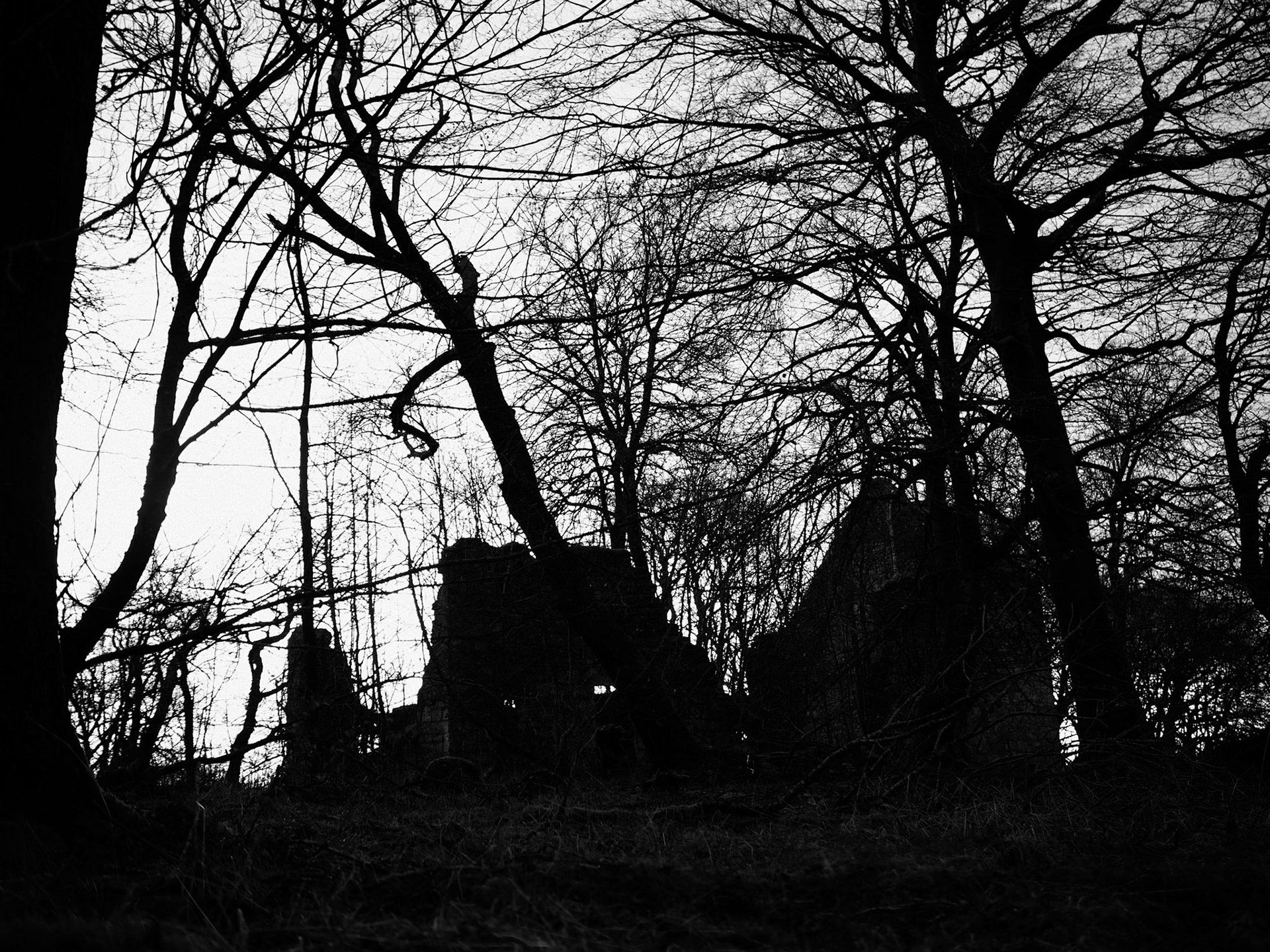 Allanton - Dura Kirk - Ruin