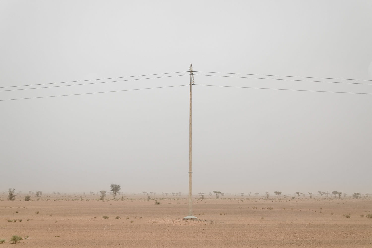 Sahara, 2013
