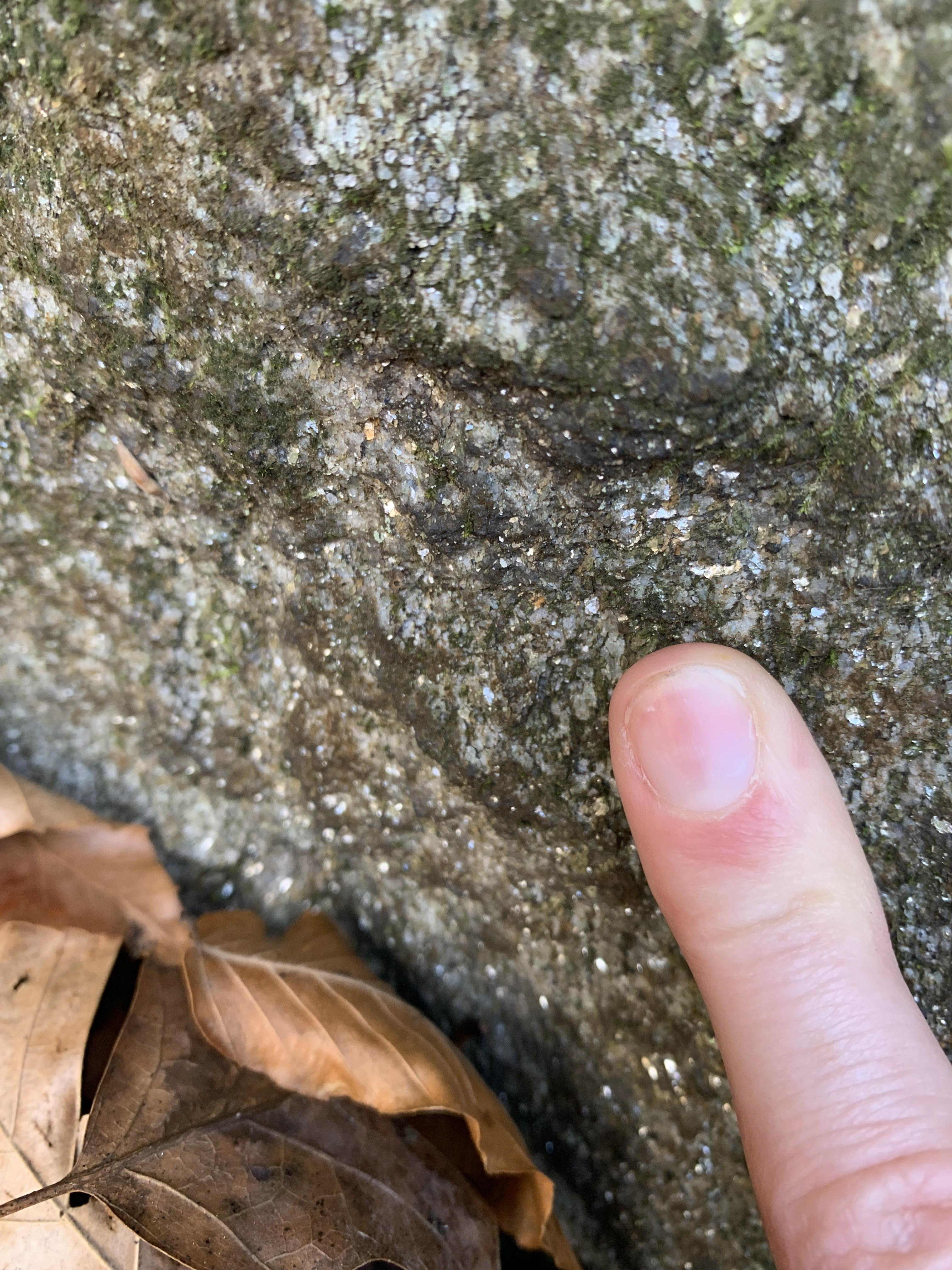 Another close up with a finger pointing to grains with a metallic sheen and a micaceous habit.