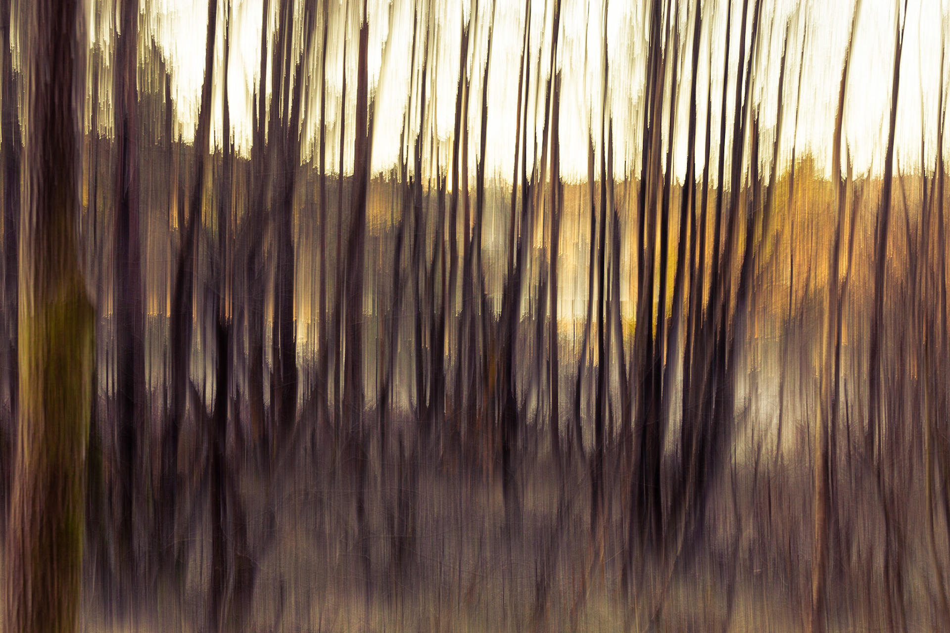Exploring the world of ICM. Happy with my results