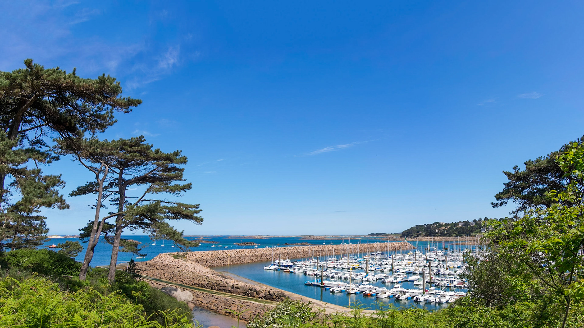 Harbourview of Trébeurden, many small boats, against the backdrop of the Bretagne coastline