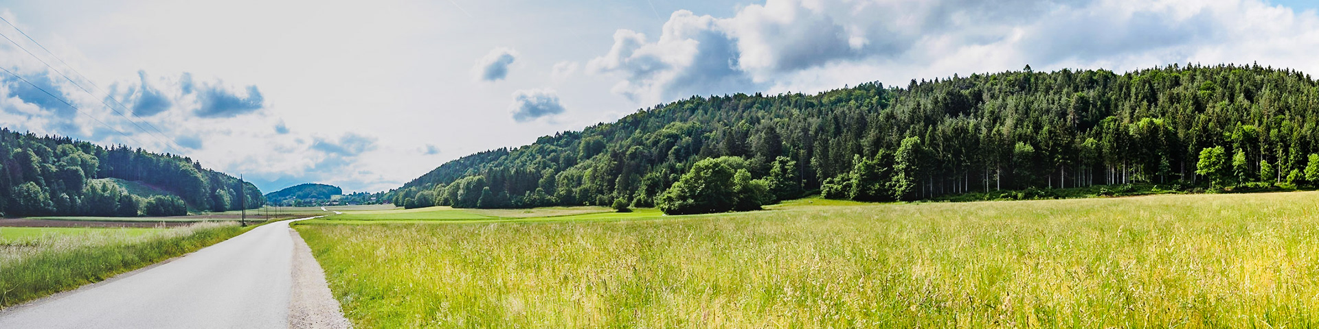 Slightly Winding Road