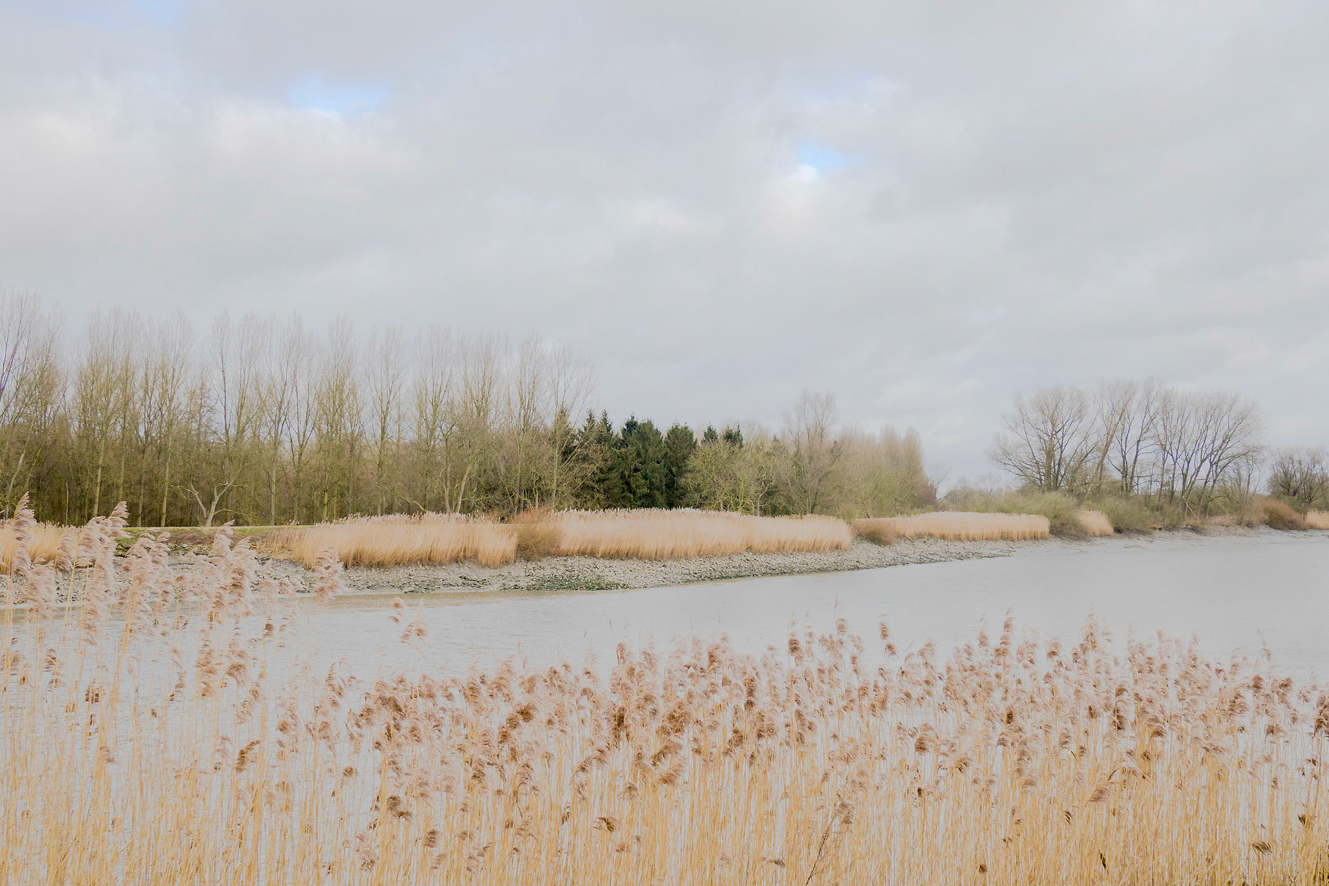 Soft-toned photo of the banks of the river Schelde in St-Amands