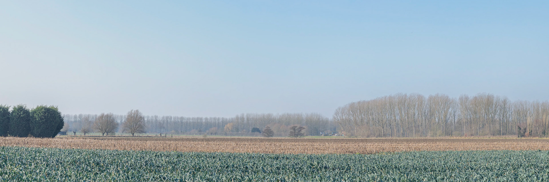 Nature &amp; Nurture