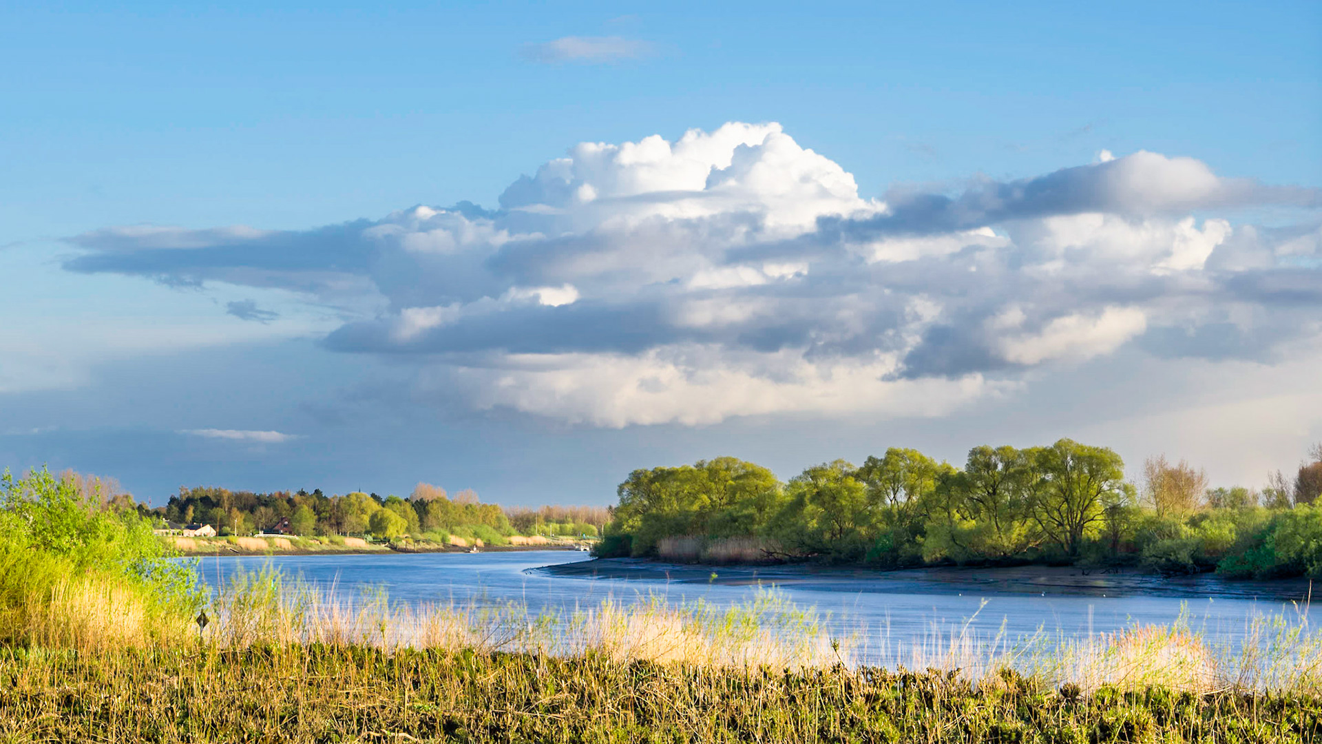 Anvil shaped cloud above the curve in the river Schelde in Branst, Flanders.