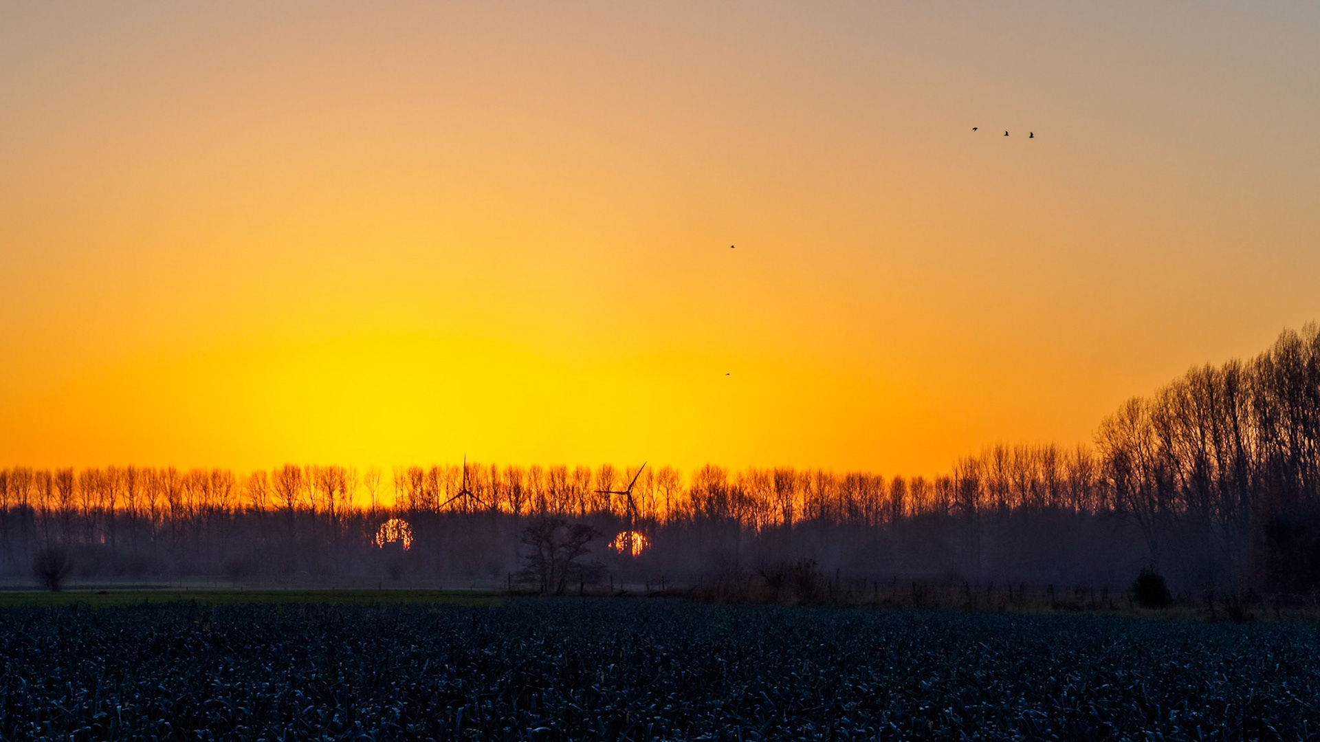 Deep orange double sunset behind tree silhouettes