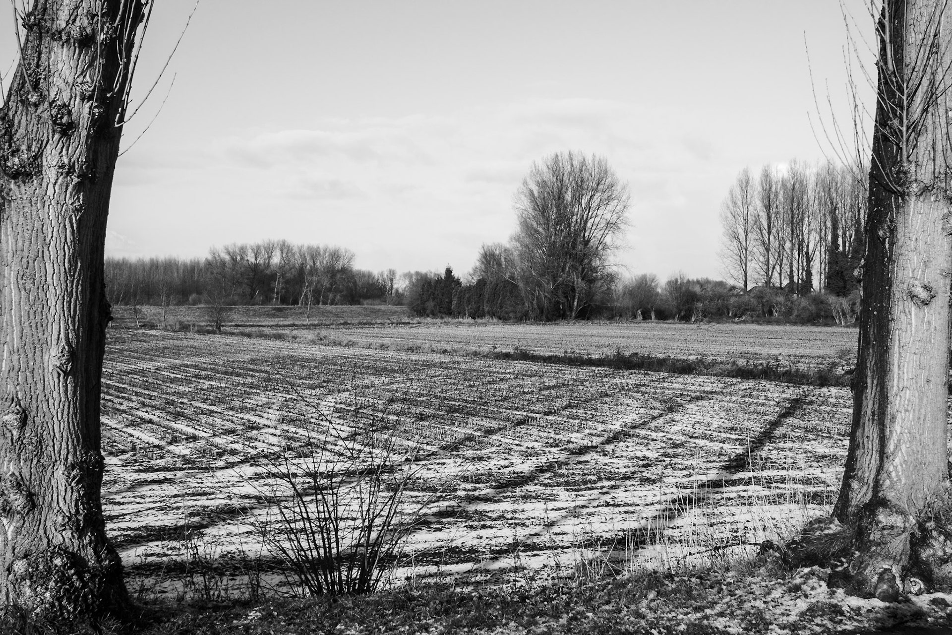 Black and White high angle view of a frozen field lined by trees