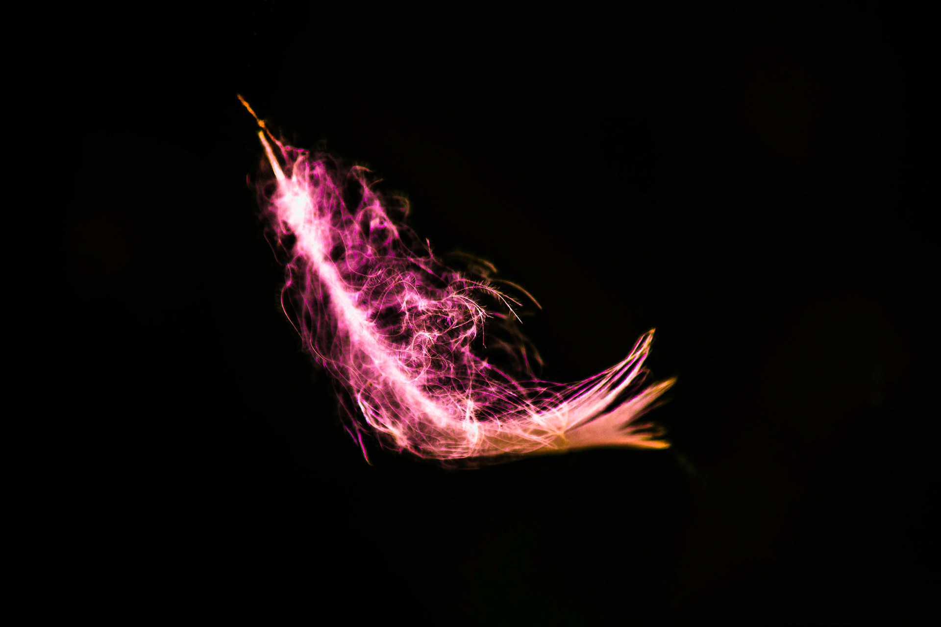 Feather Lightning