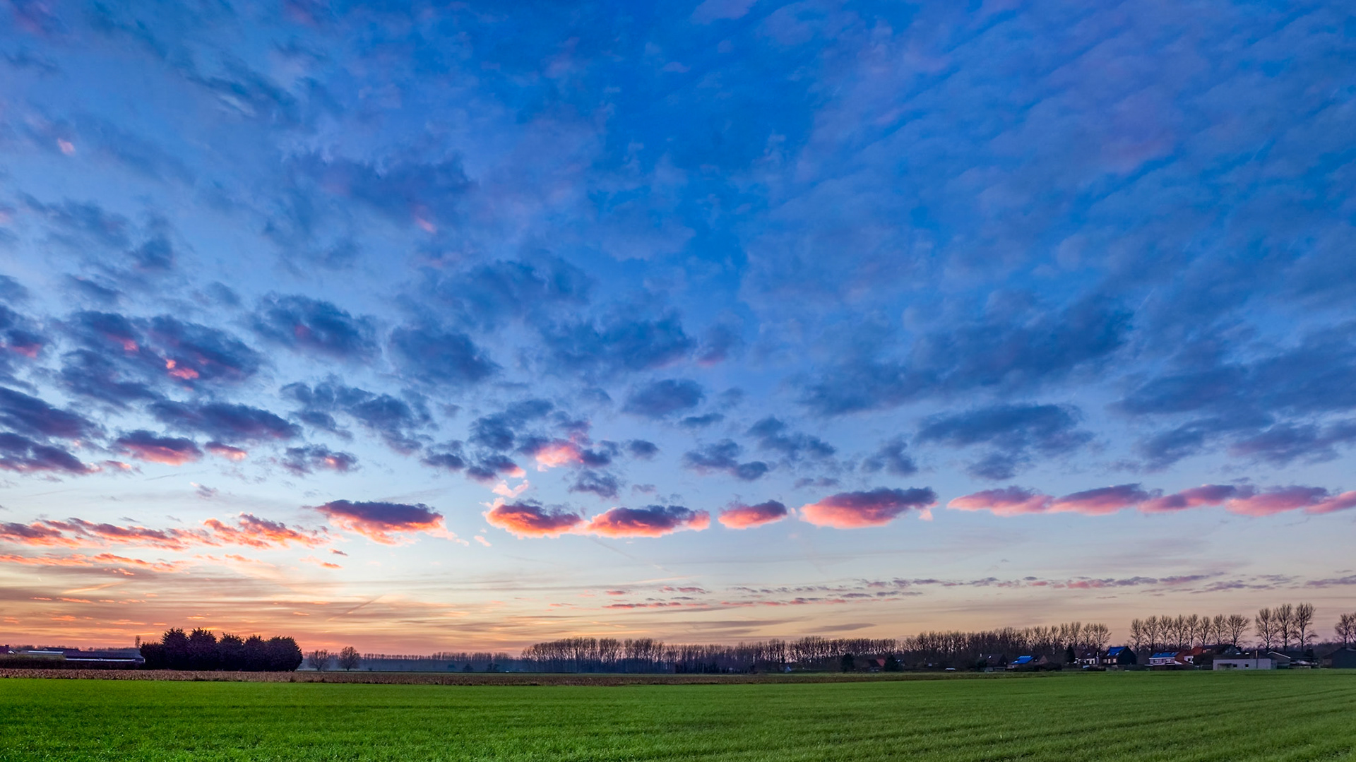 Orange necklace for the sun