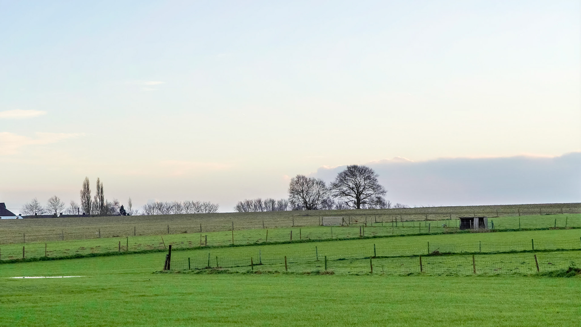 A cold winter evening, the dry crisp air revealing every detail far and near
