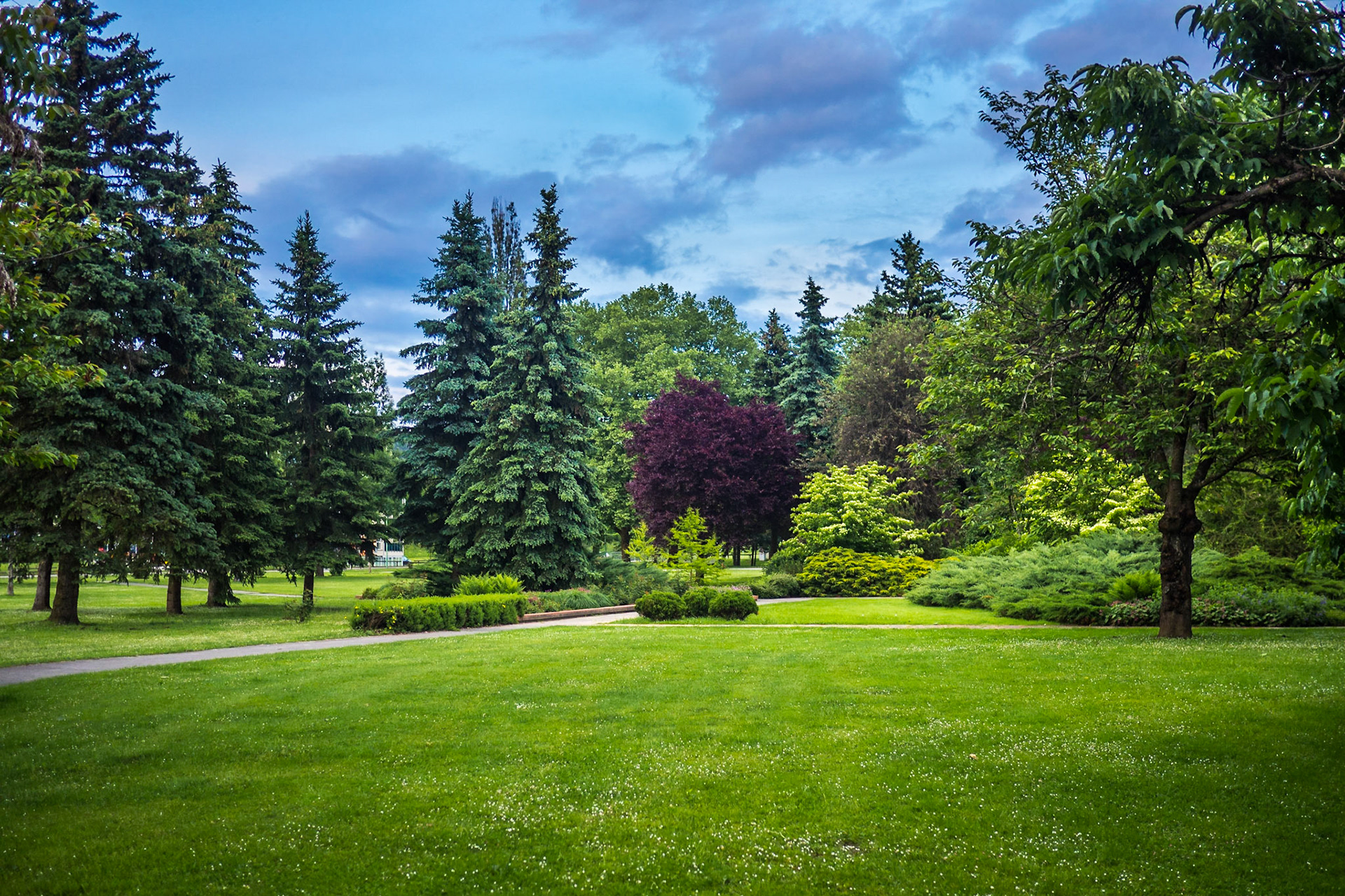 The light in the Park