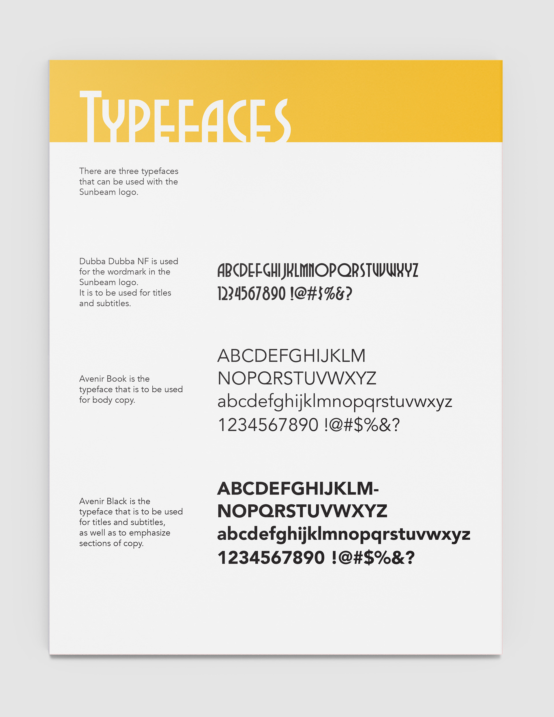 Graphic Standards: Type