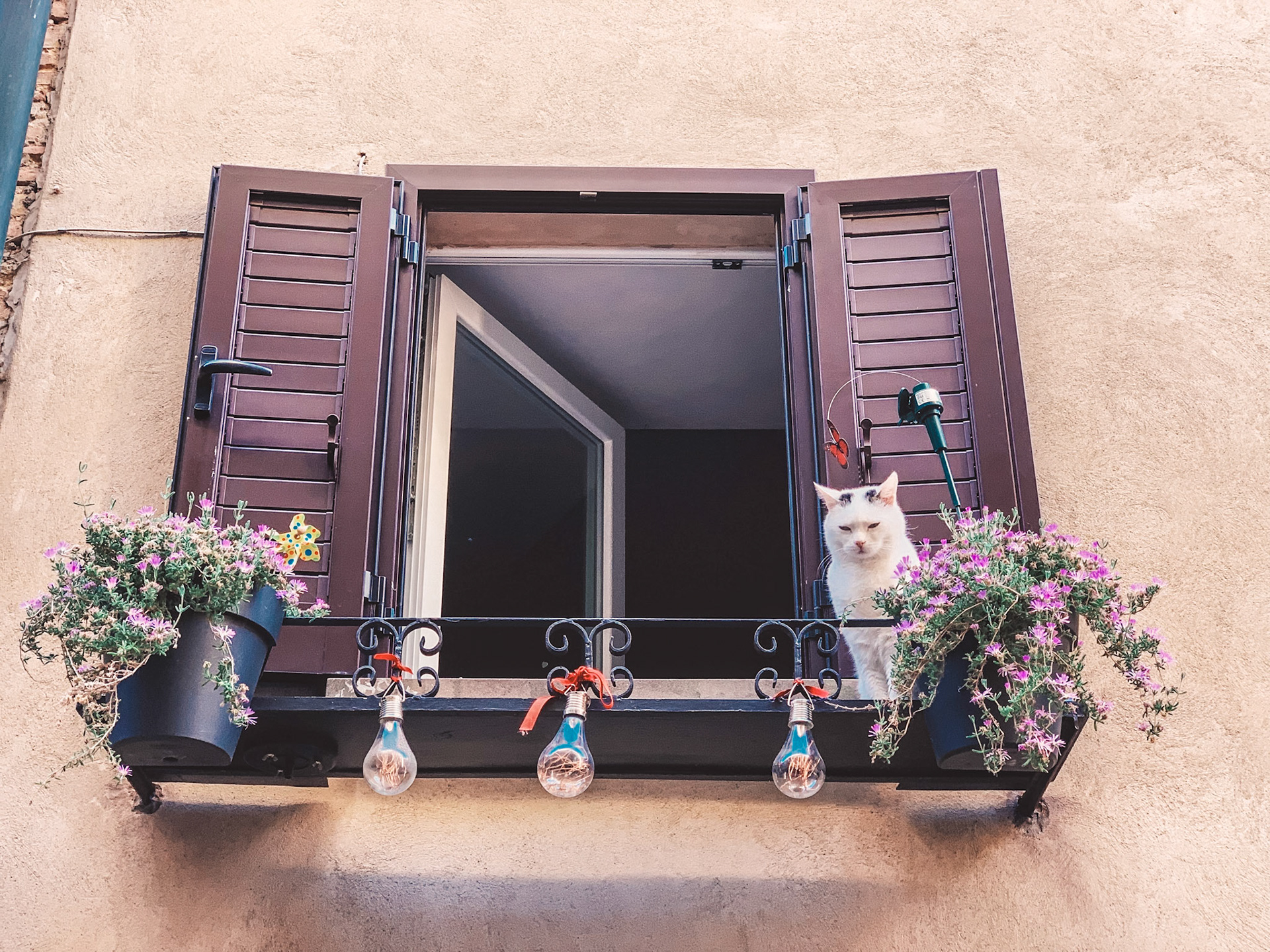 Processed with VSCO with lv03 preset