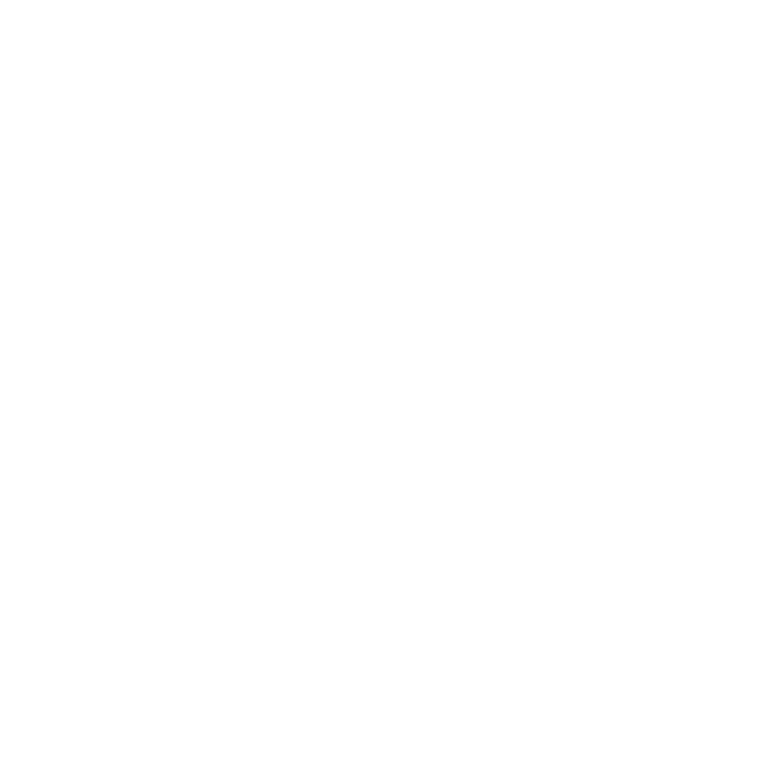 mickyrabbit logo