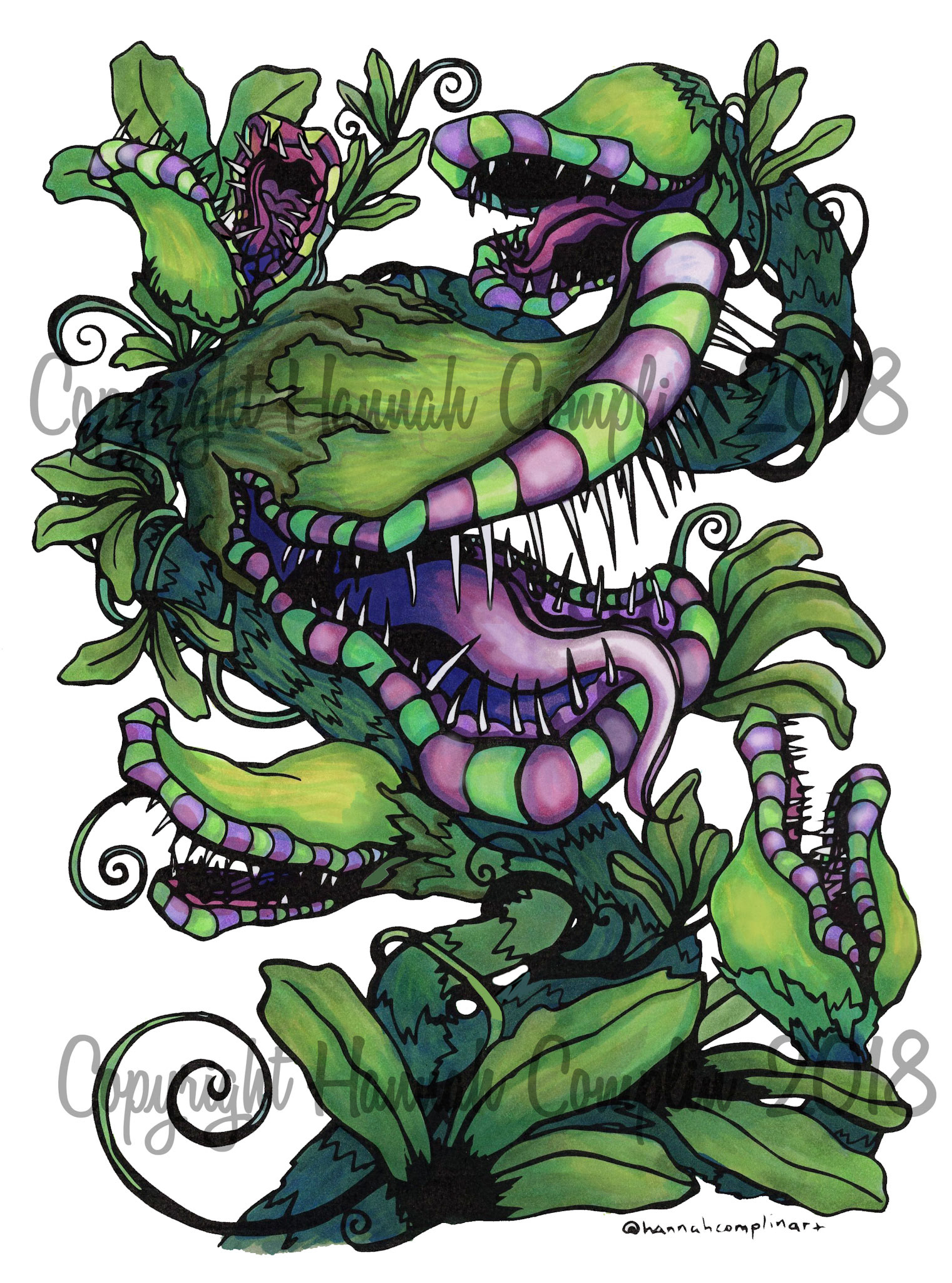 Carnivorous Plants