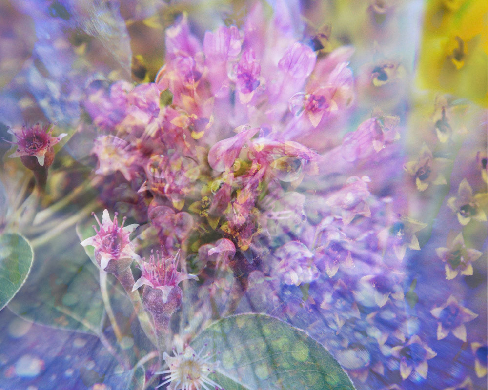 Burst