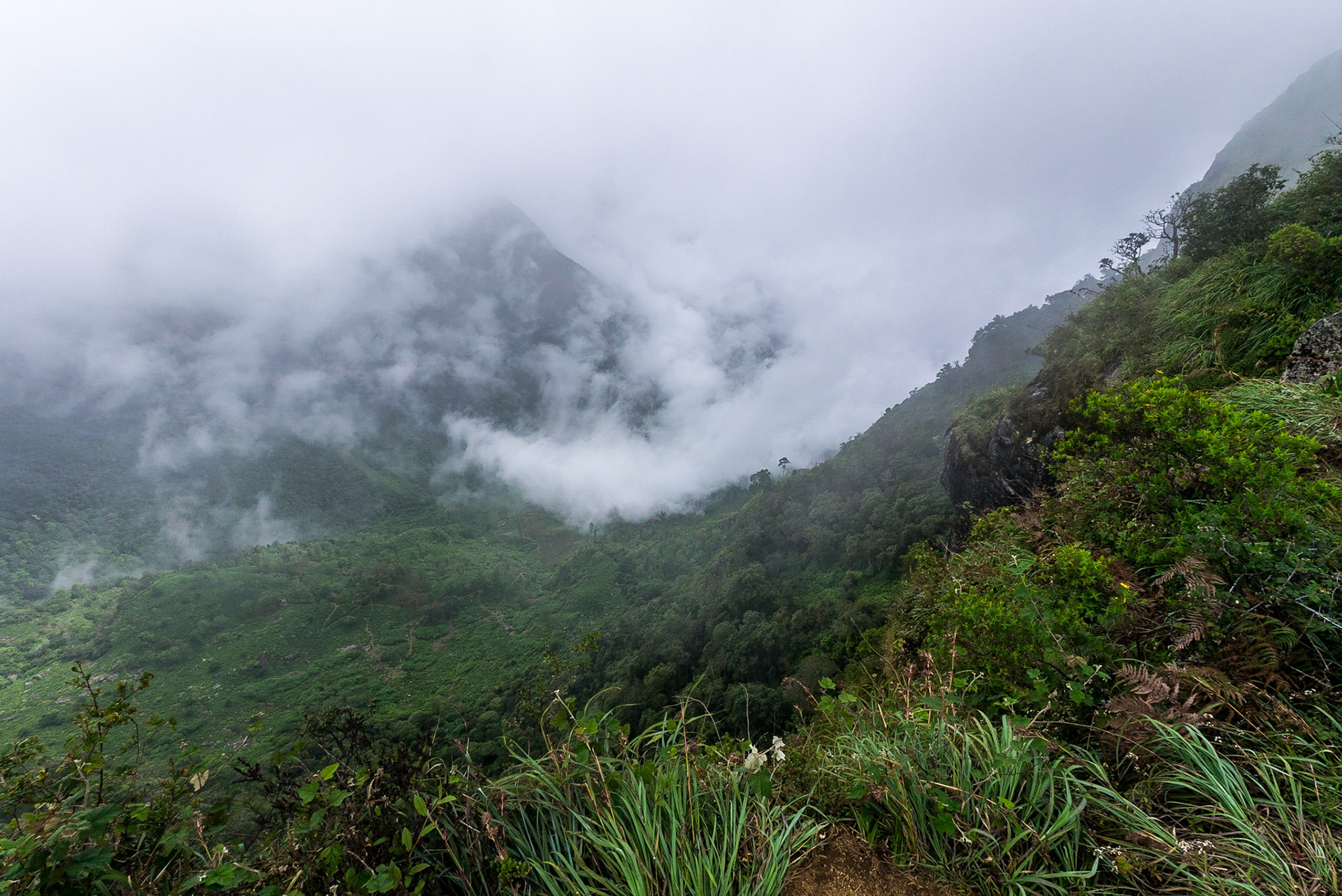 Sri Lanka, Horton Plains