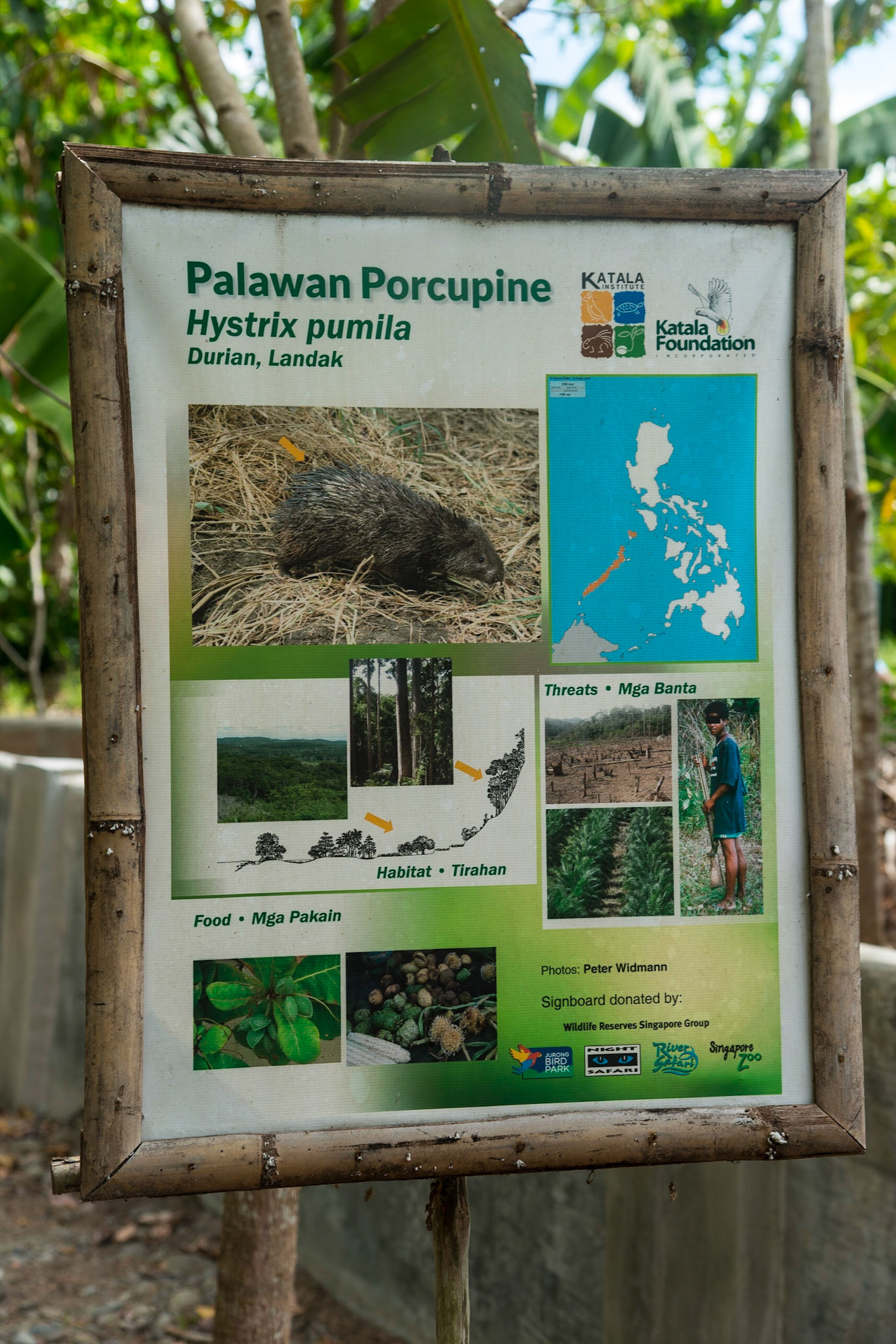 The Philippines, Palawan Island