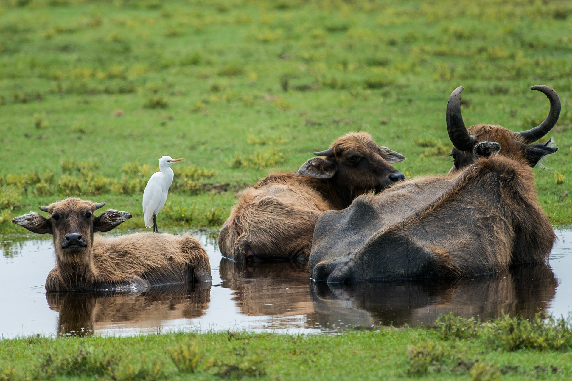 Sri Lanka, Bandala National Park
