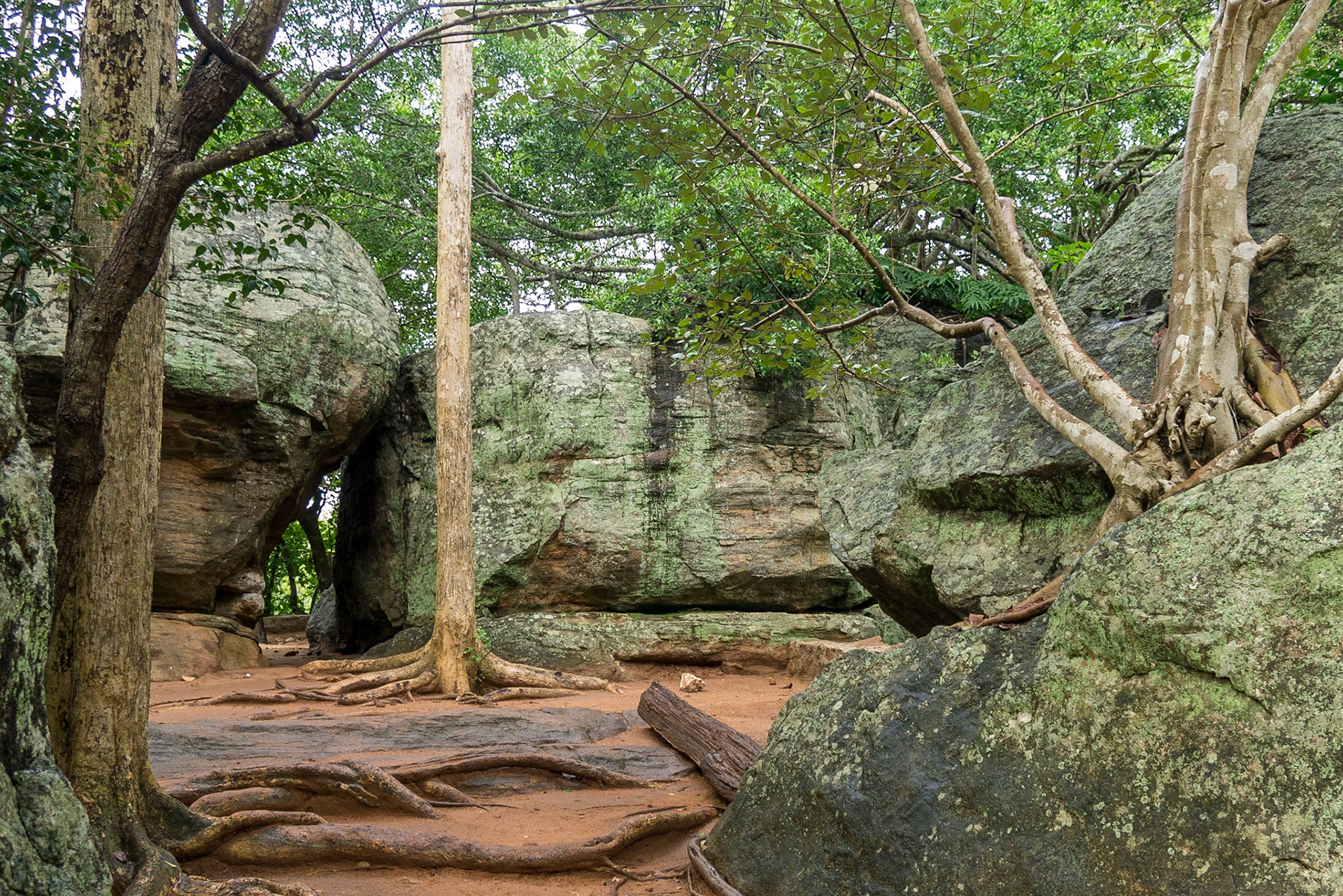 Sri Lanka, Sigiriya Rock Fortress, the Lion Rock