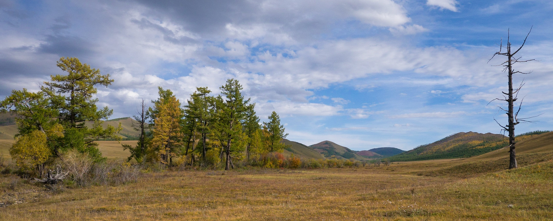 Mongolia, photos from a bicycle tour with Compass Rose Expeditions