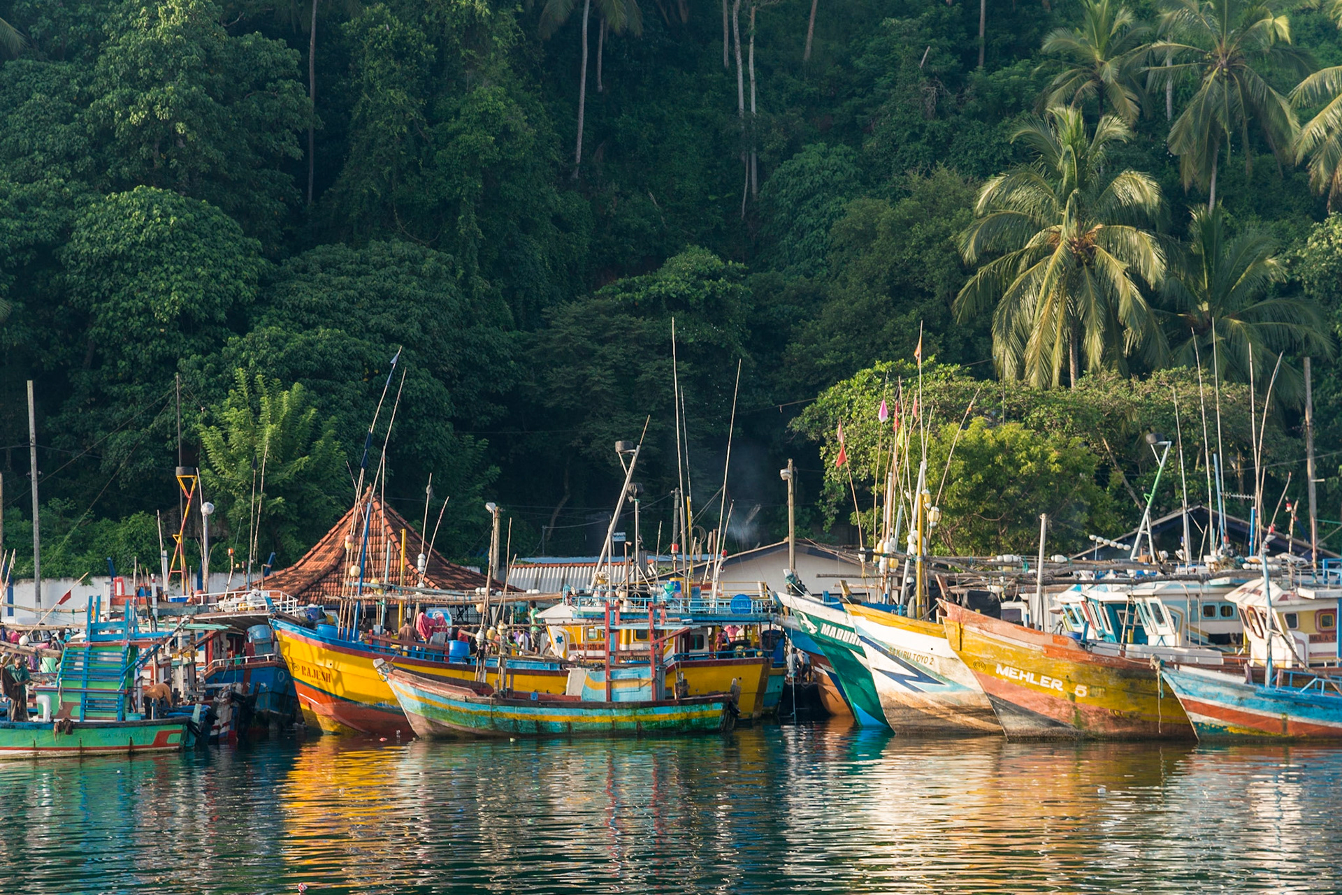 Sri Lanka, Mirissa Harbor